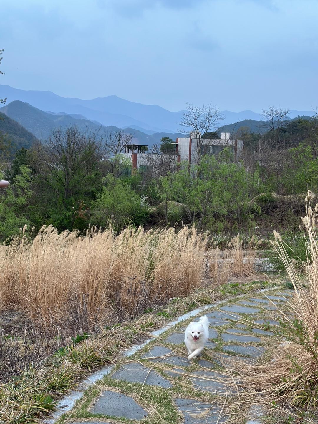 윤선경 호스트