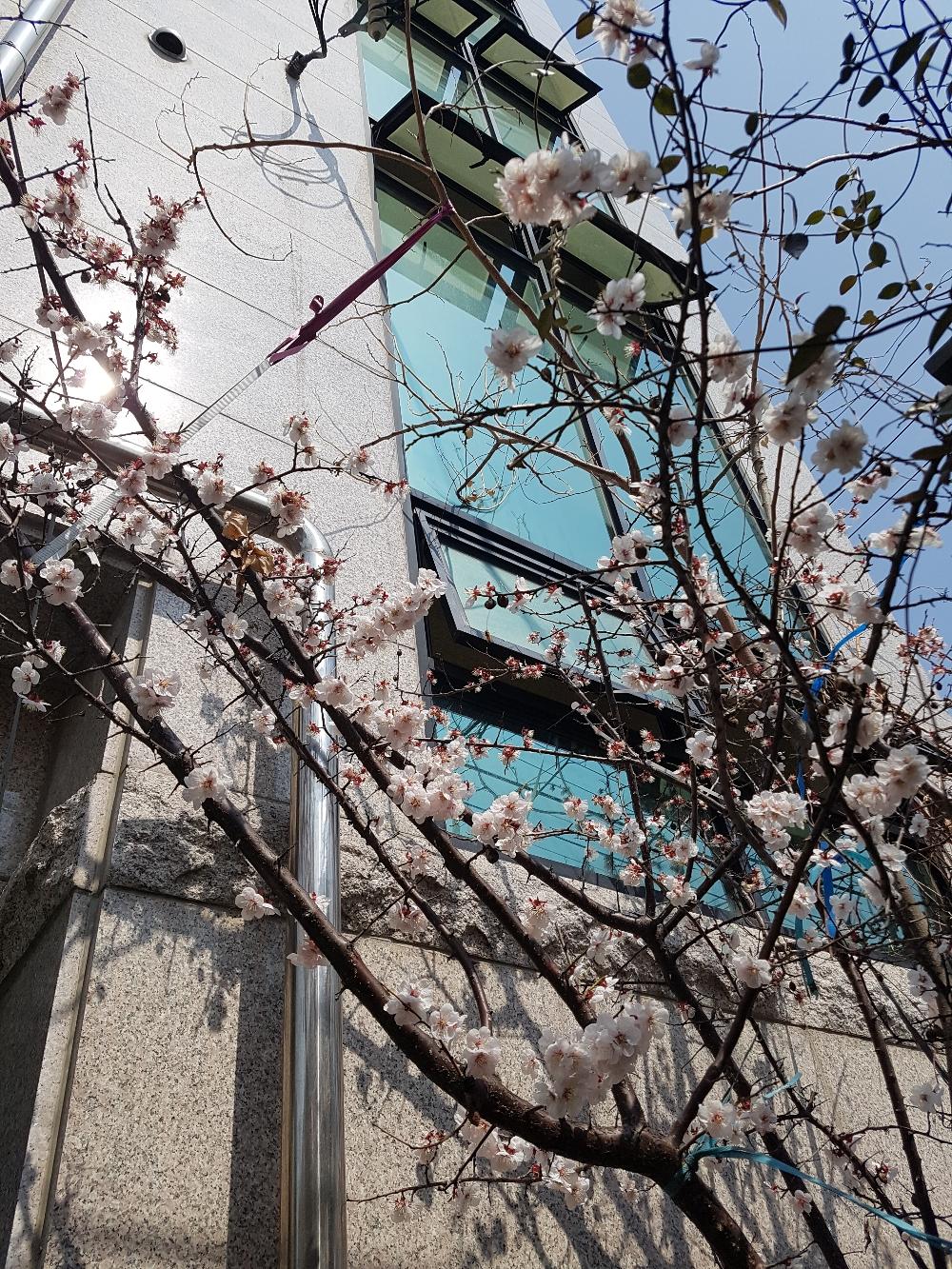 인동시내 인접, 엘레베이터있습니다 사진 4