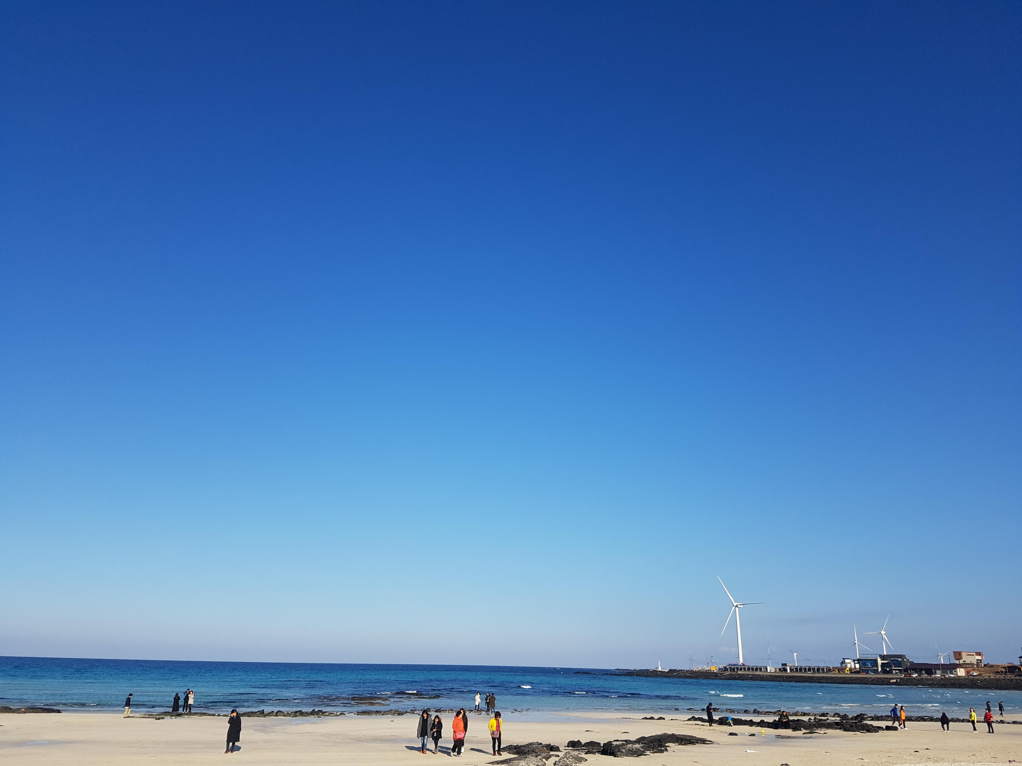 진심 호스트