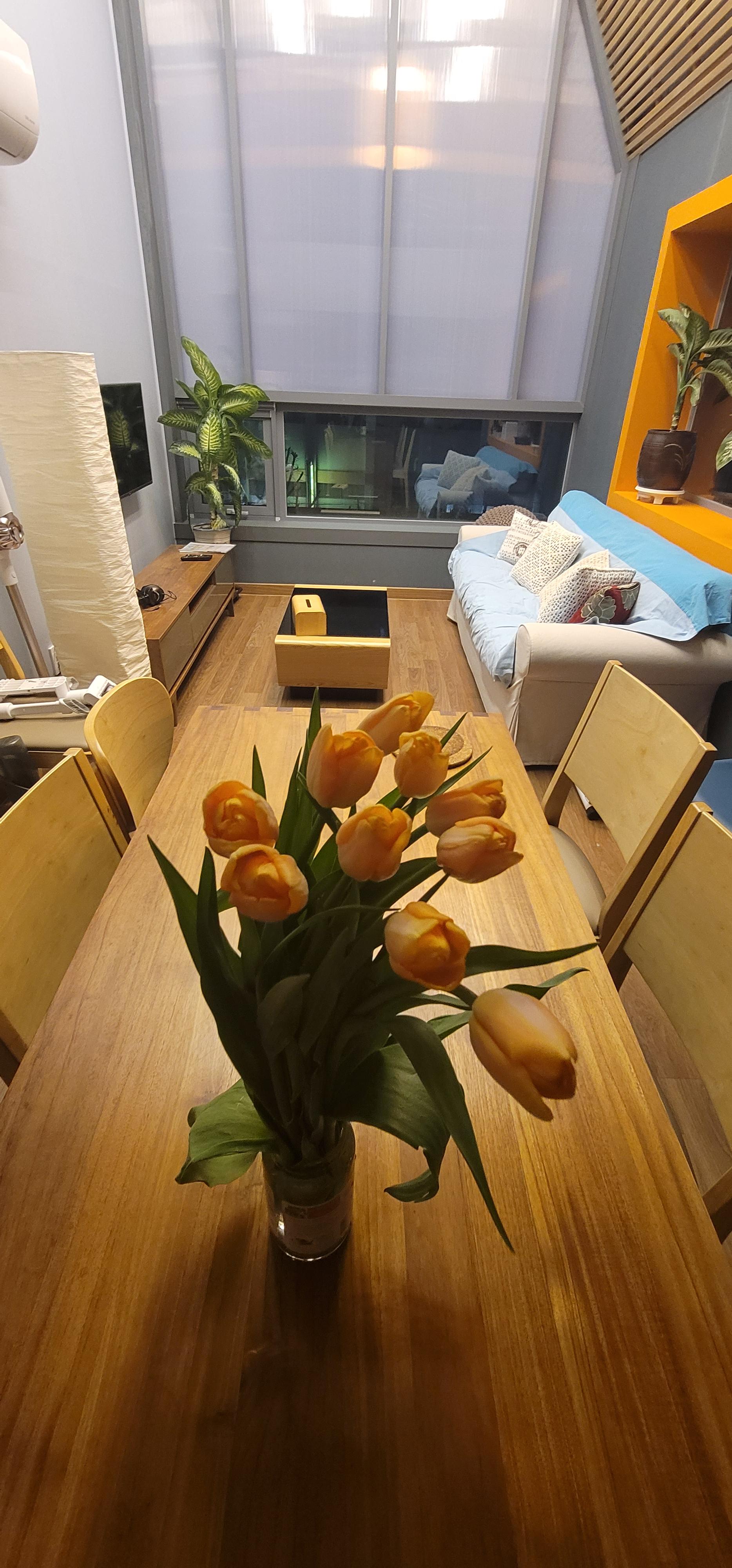 여성 전용 셰어하우스 입니다. 사진 3