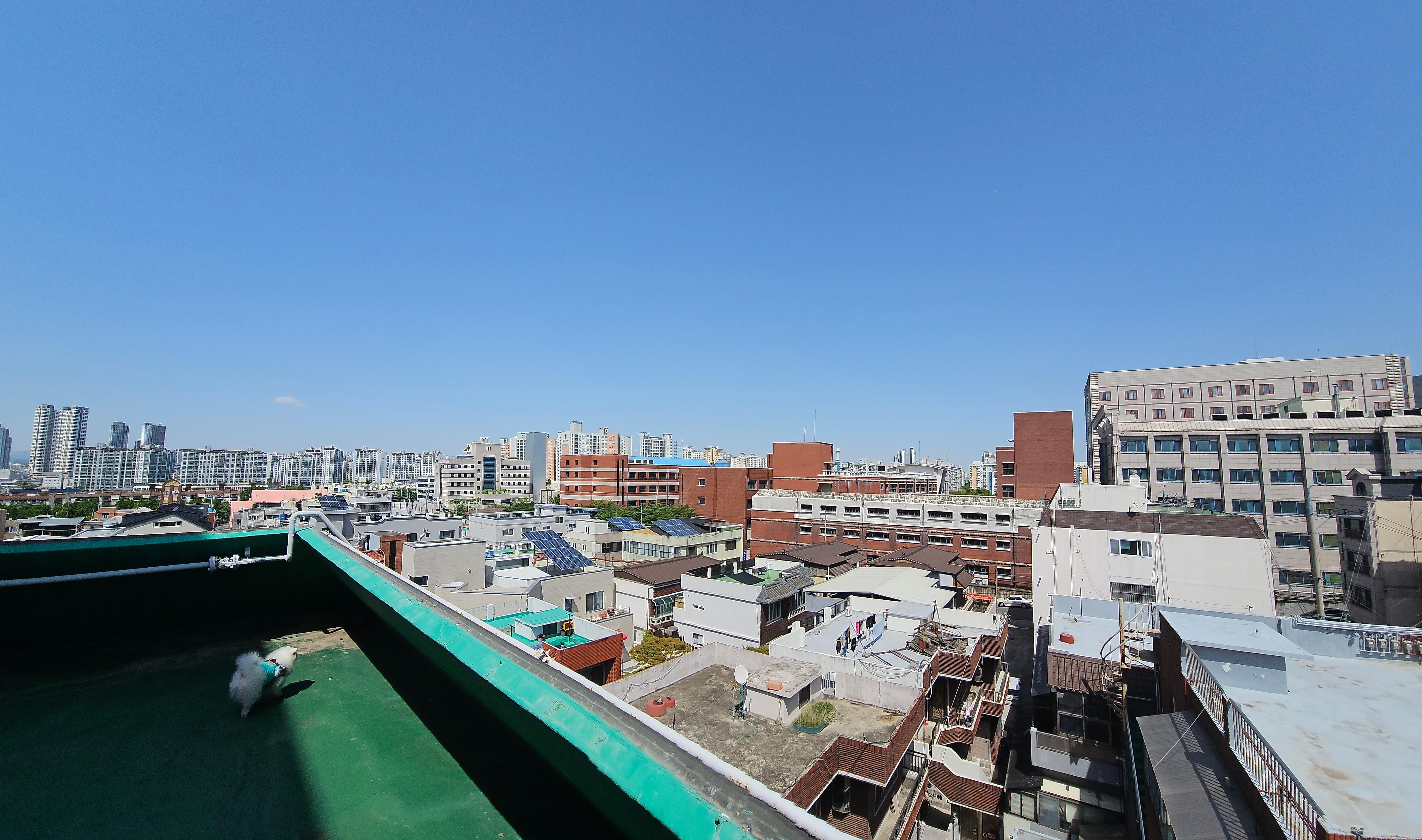 앞산코코네 사진 5