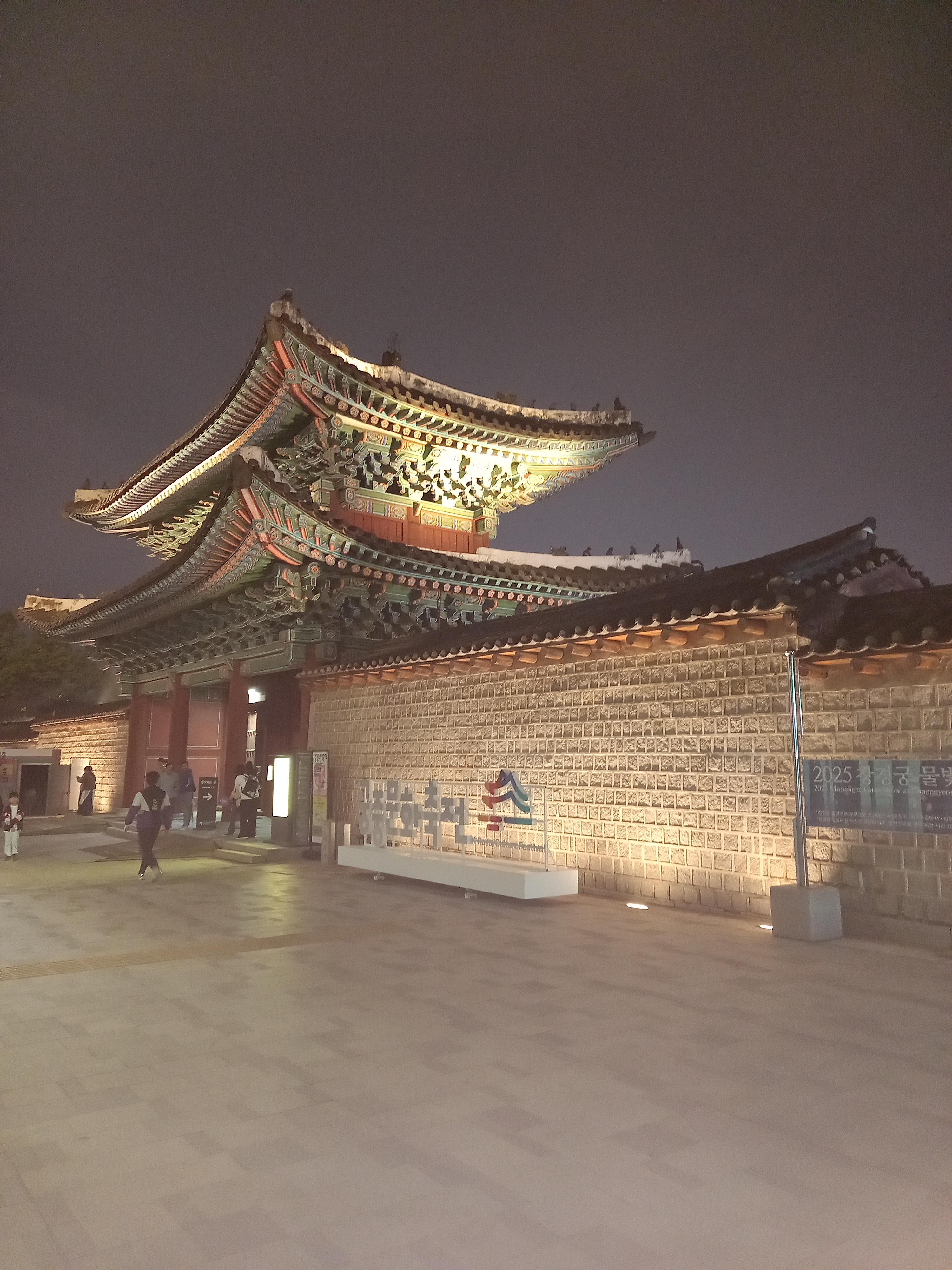양경우 호스트