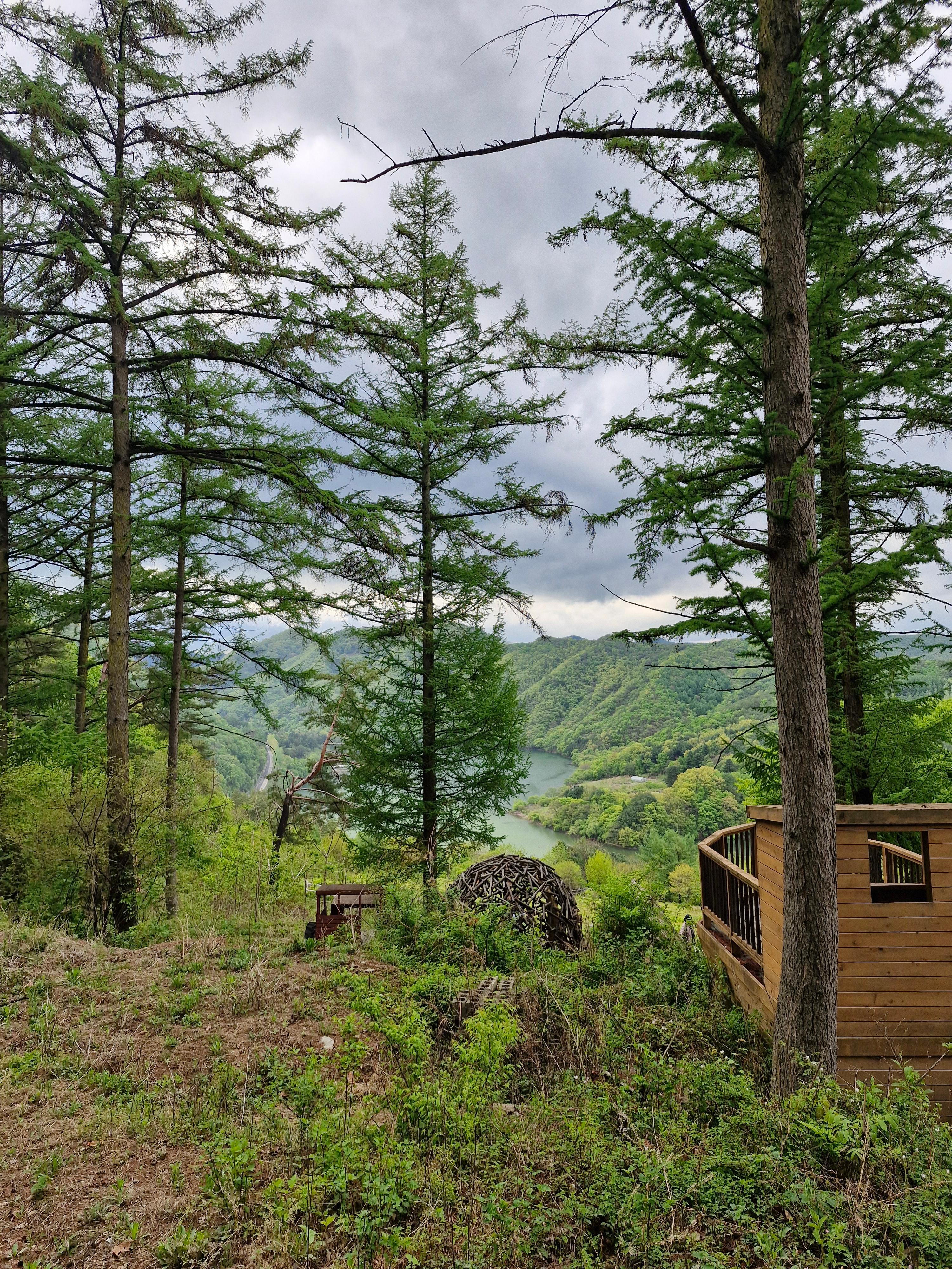 황인주 호스트