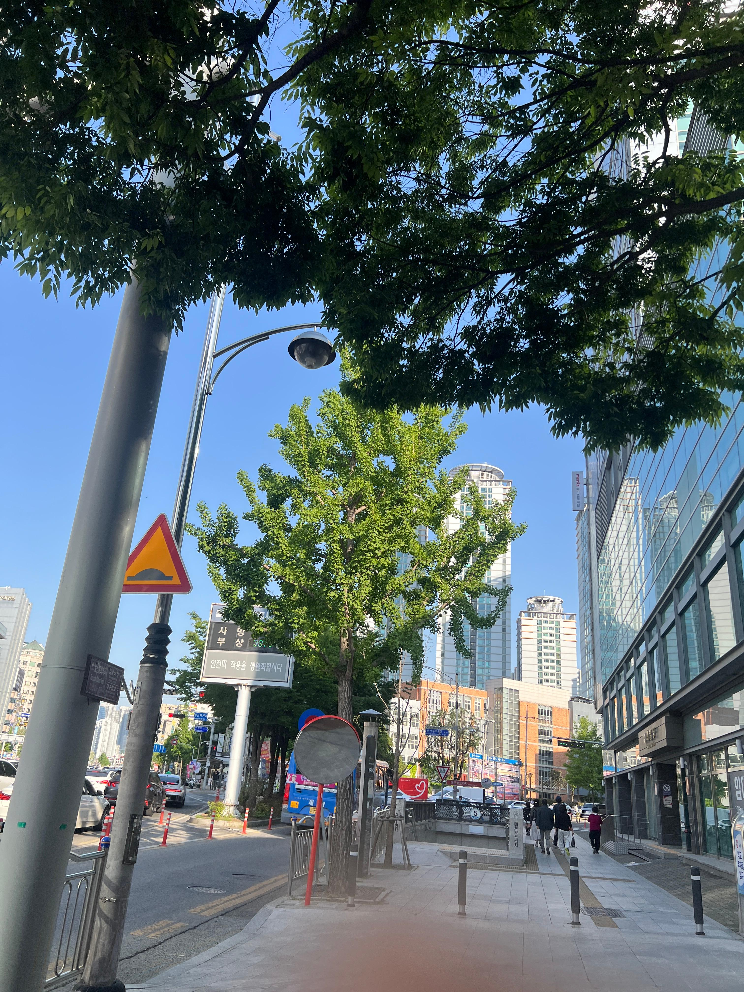 장지은 호스트