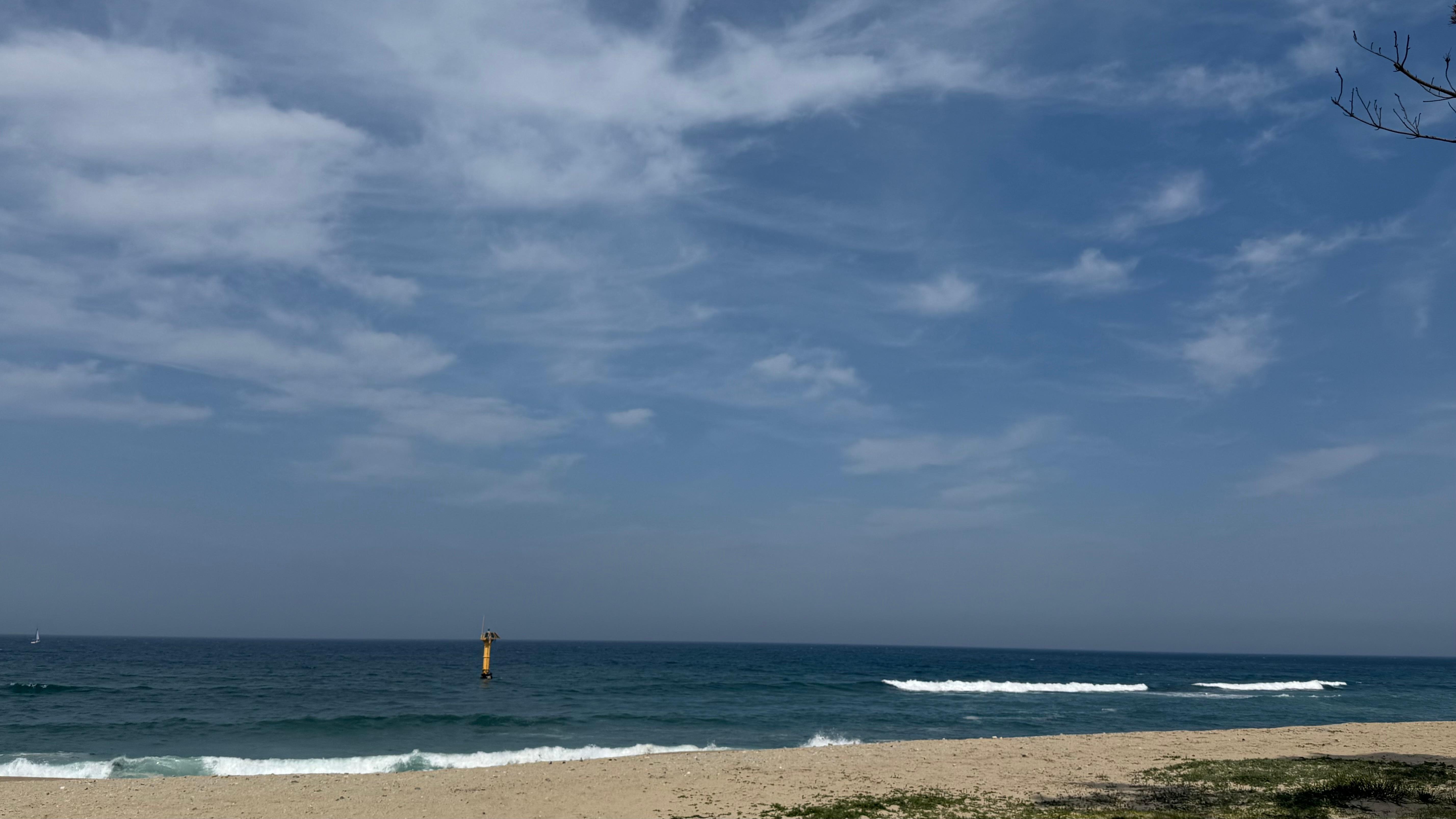 Rex 호스트