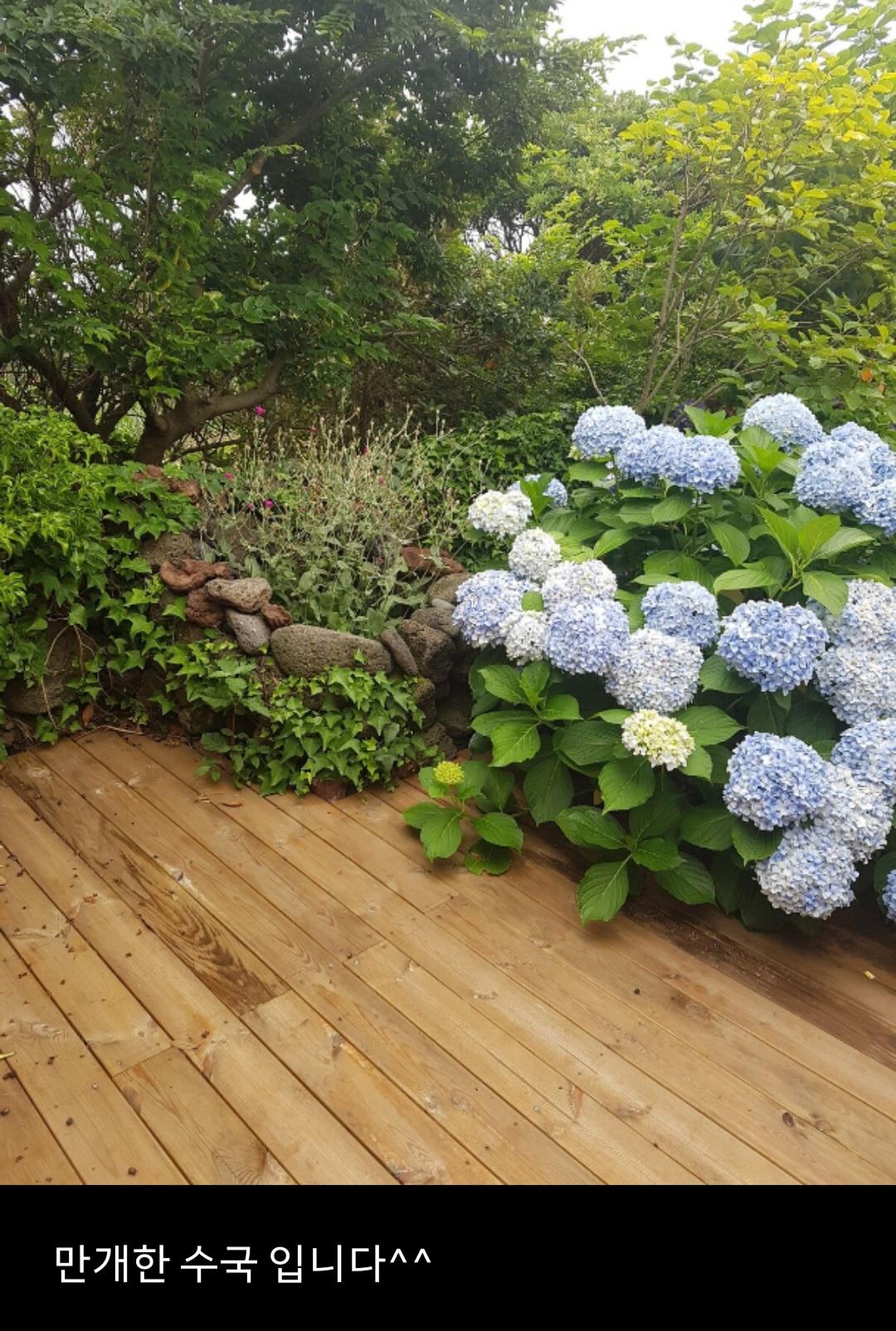 일출봉 제일 가까운 집  사진 4