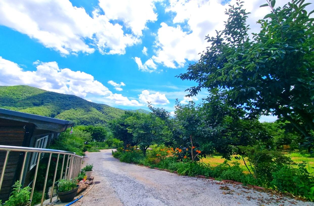 동산리 단기임대 휘게마을 독채펜션