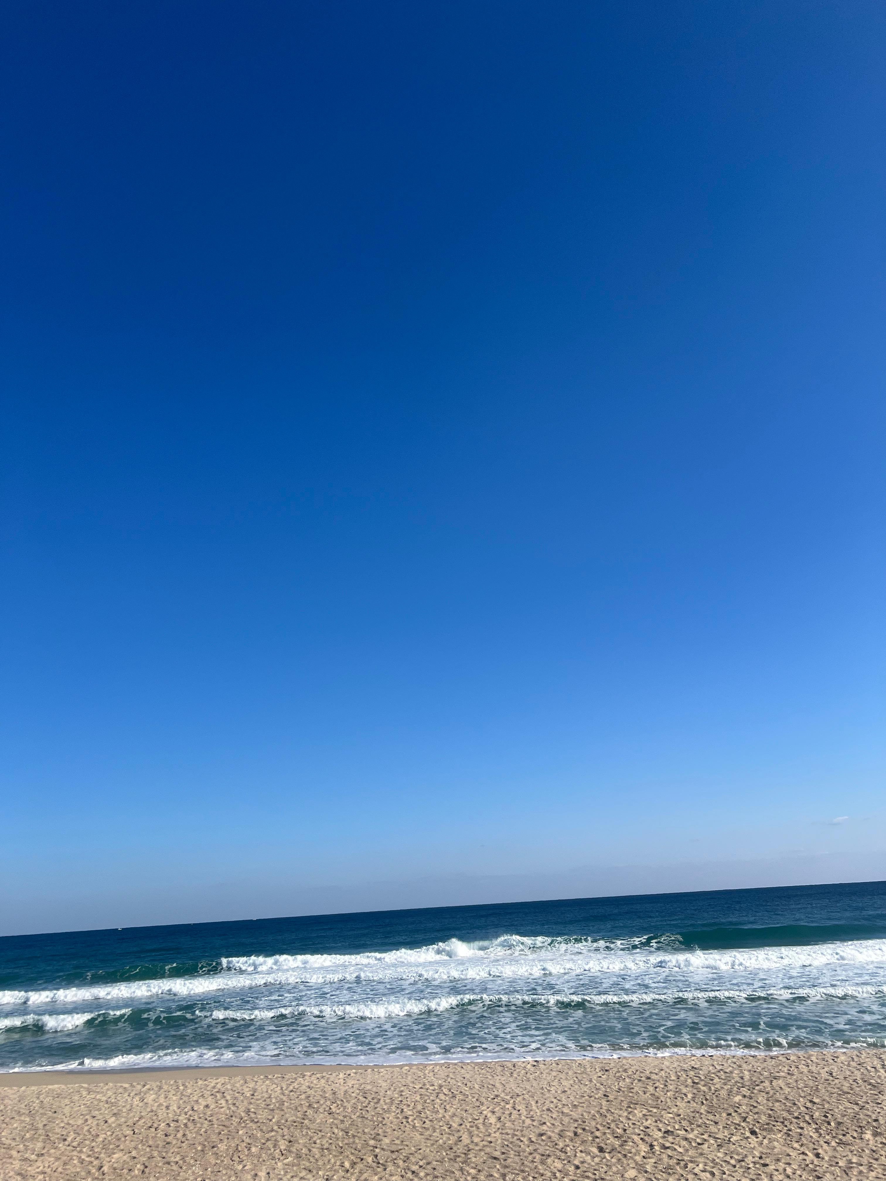 서은정 호스트