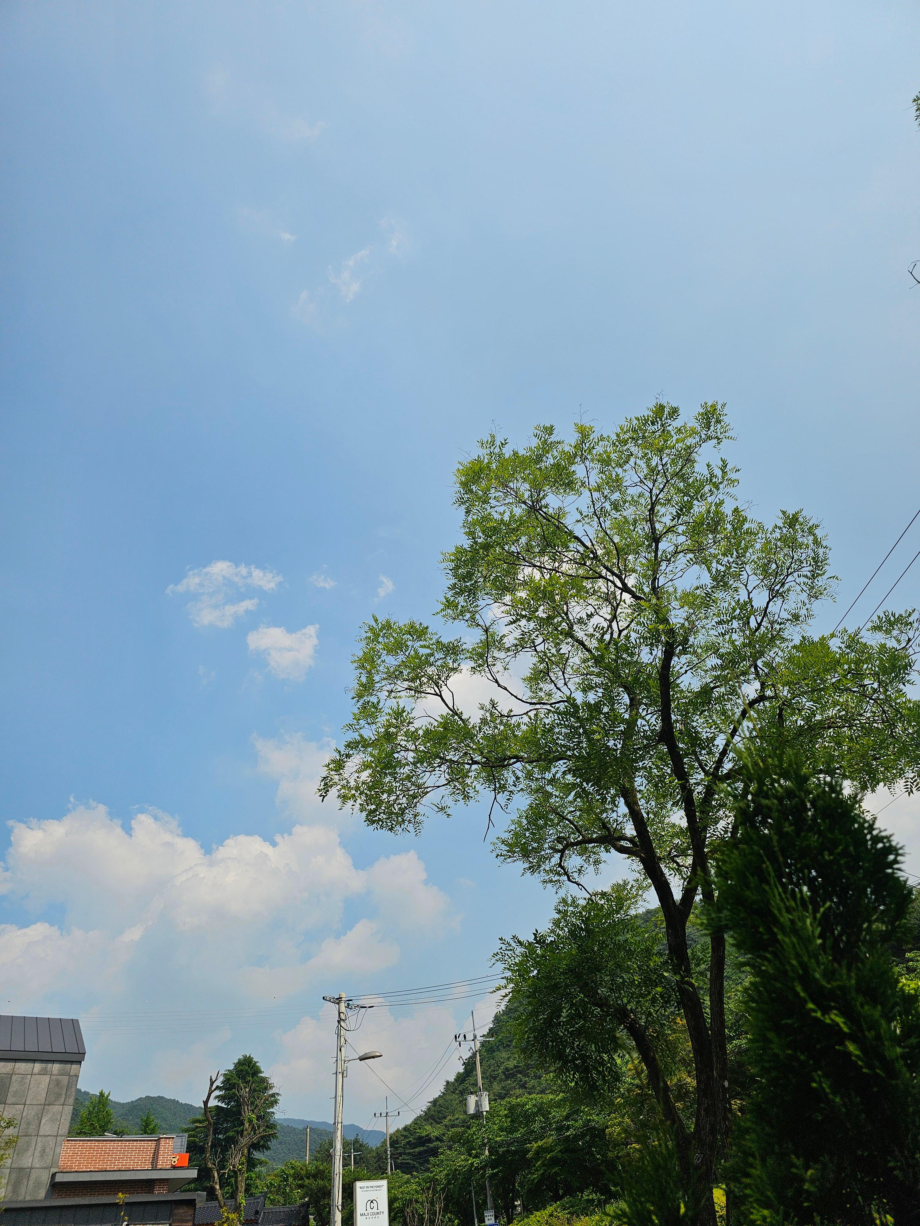 김정미 호스트