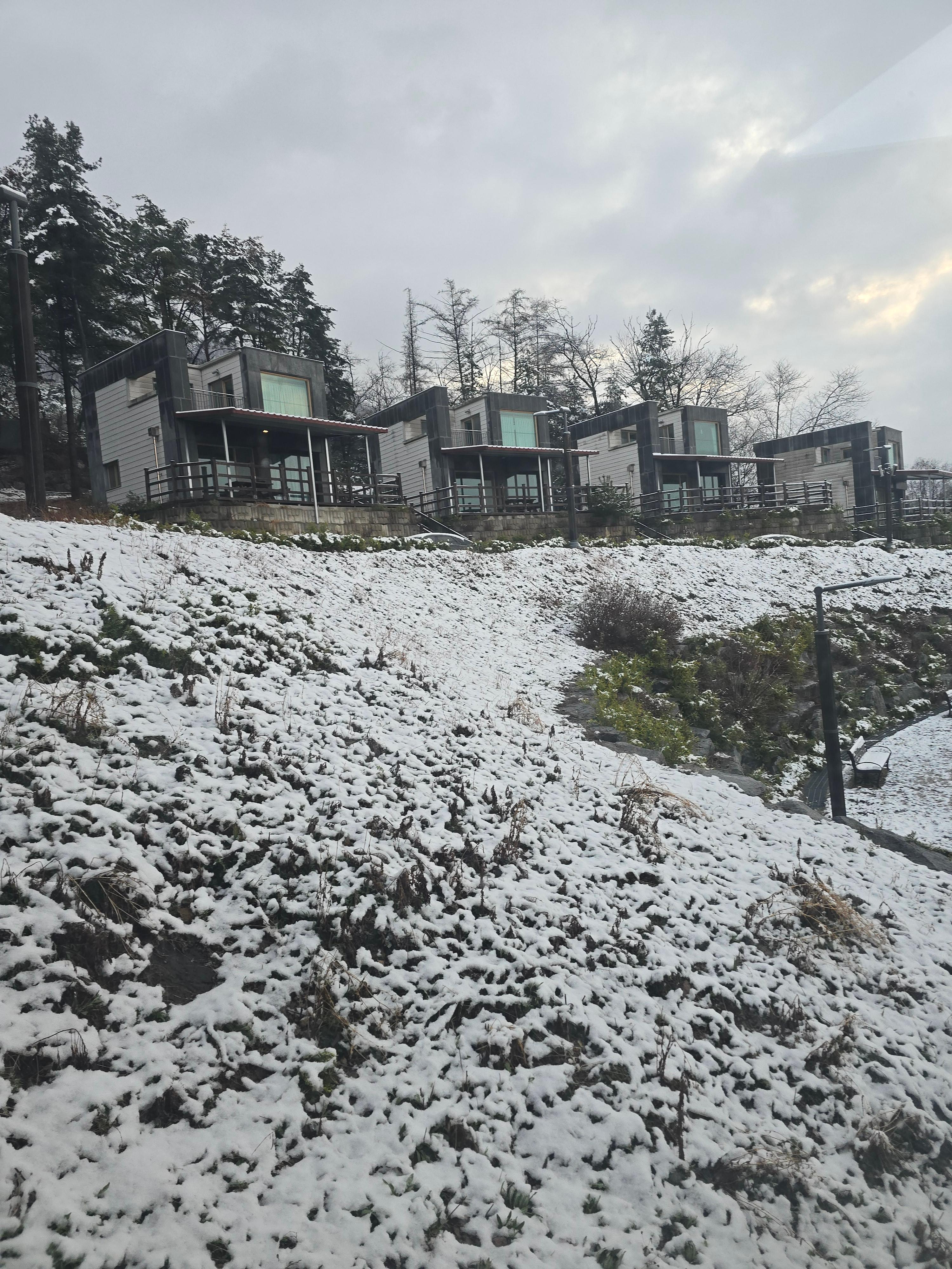 서용재 호스트