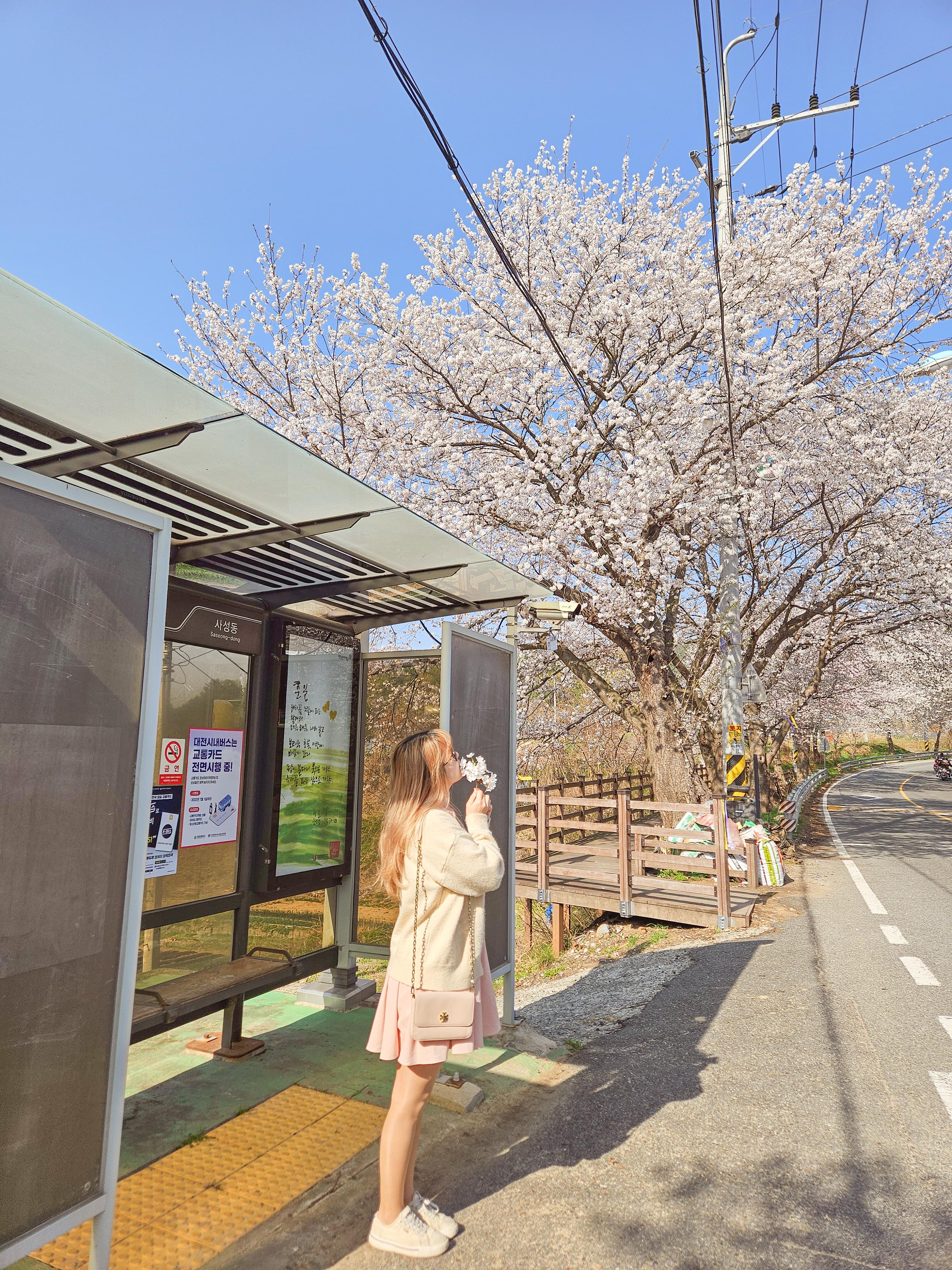 최선영 호스트