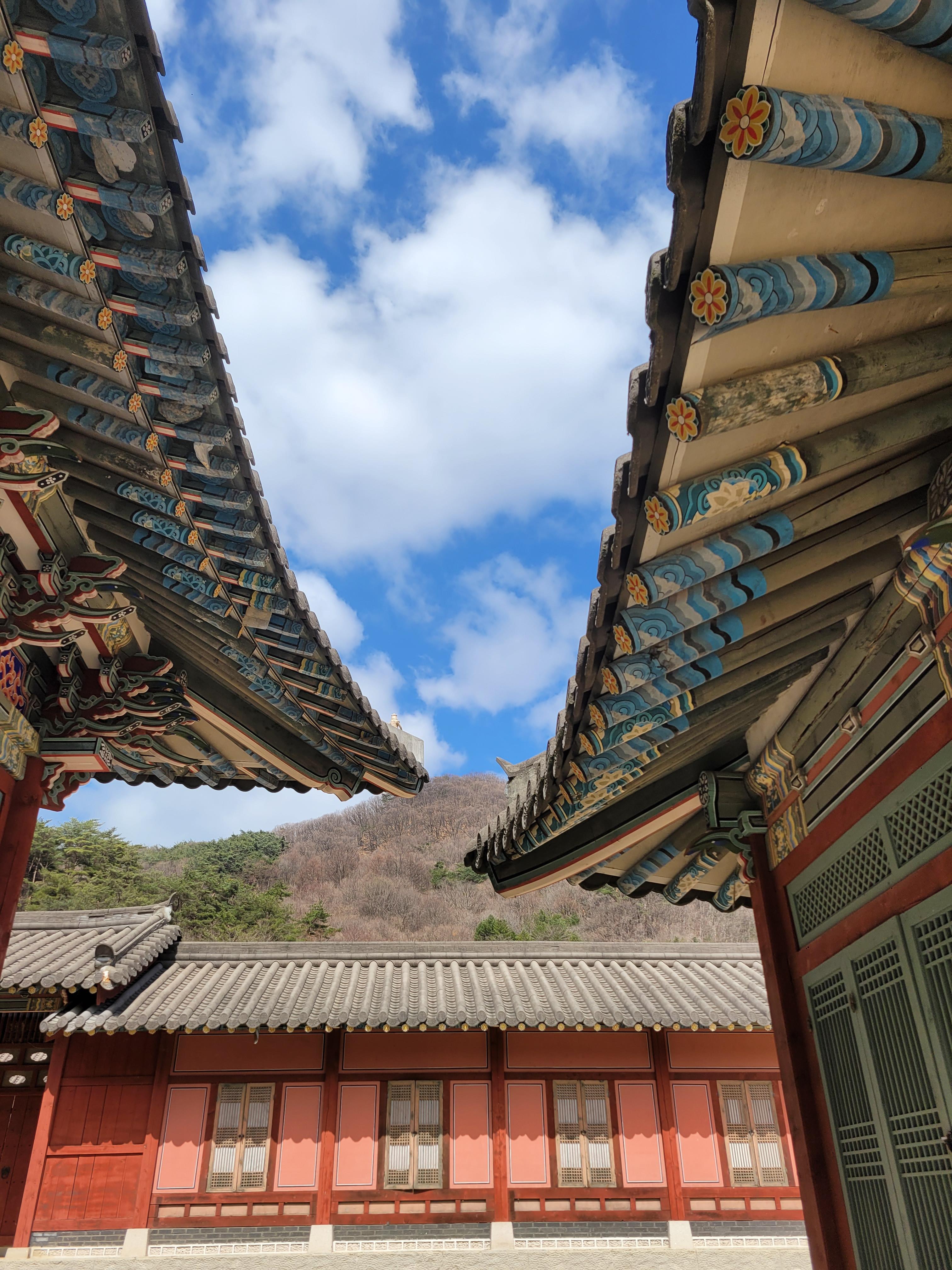 박난영 호스트