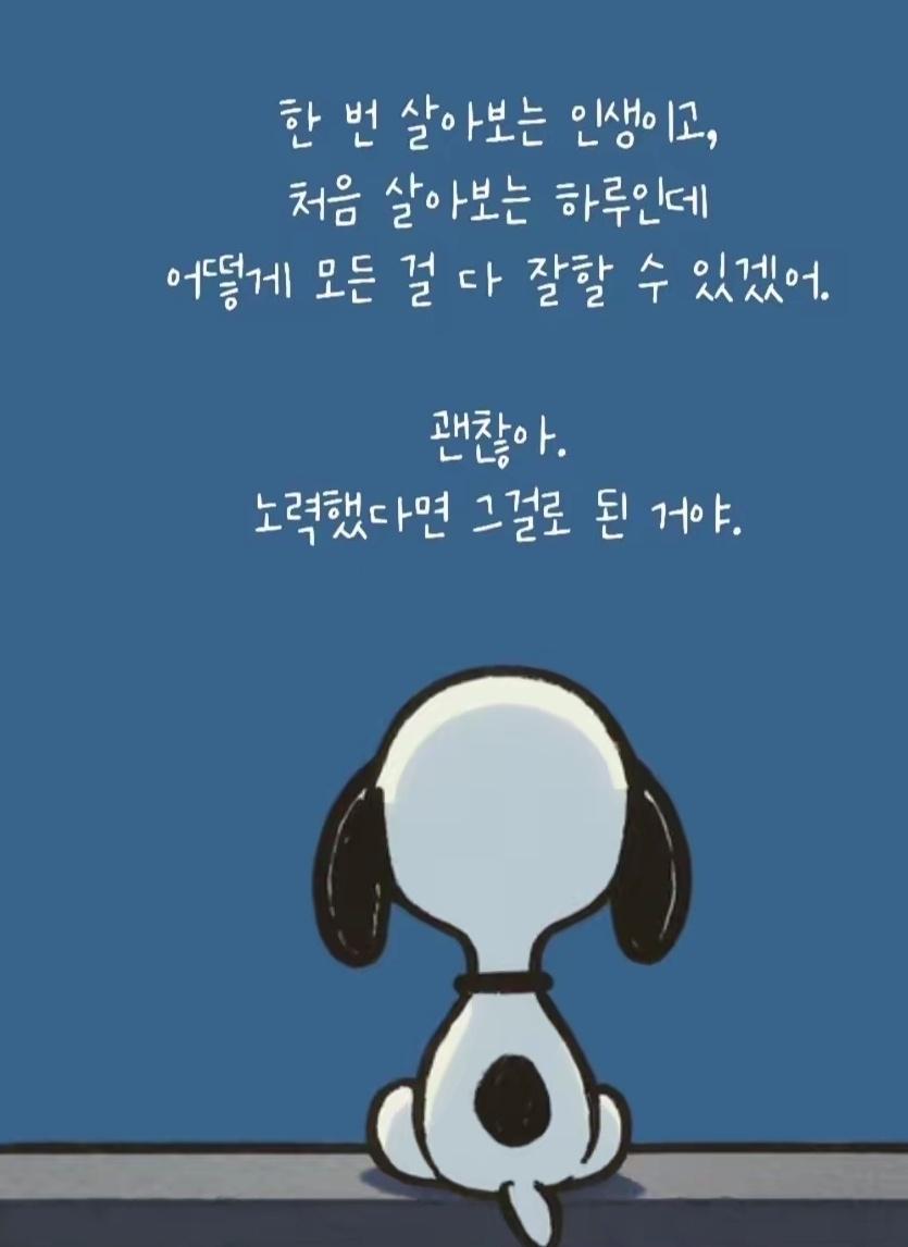 김홍기 호스트