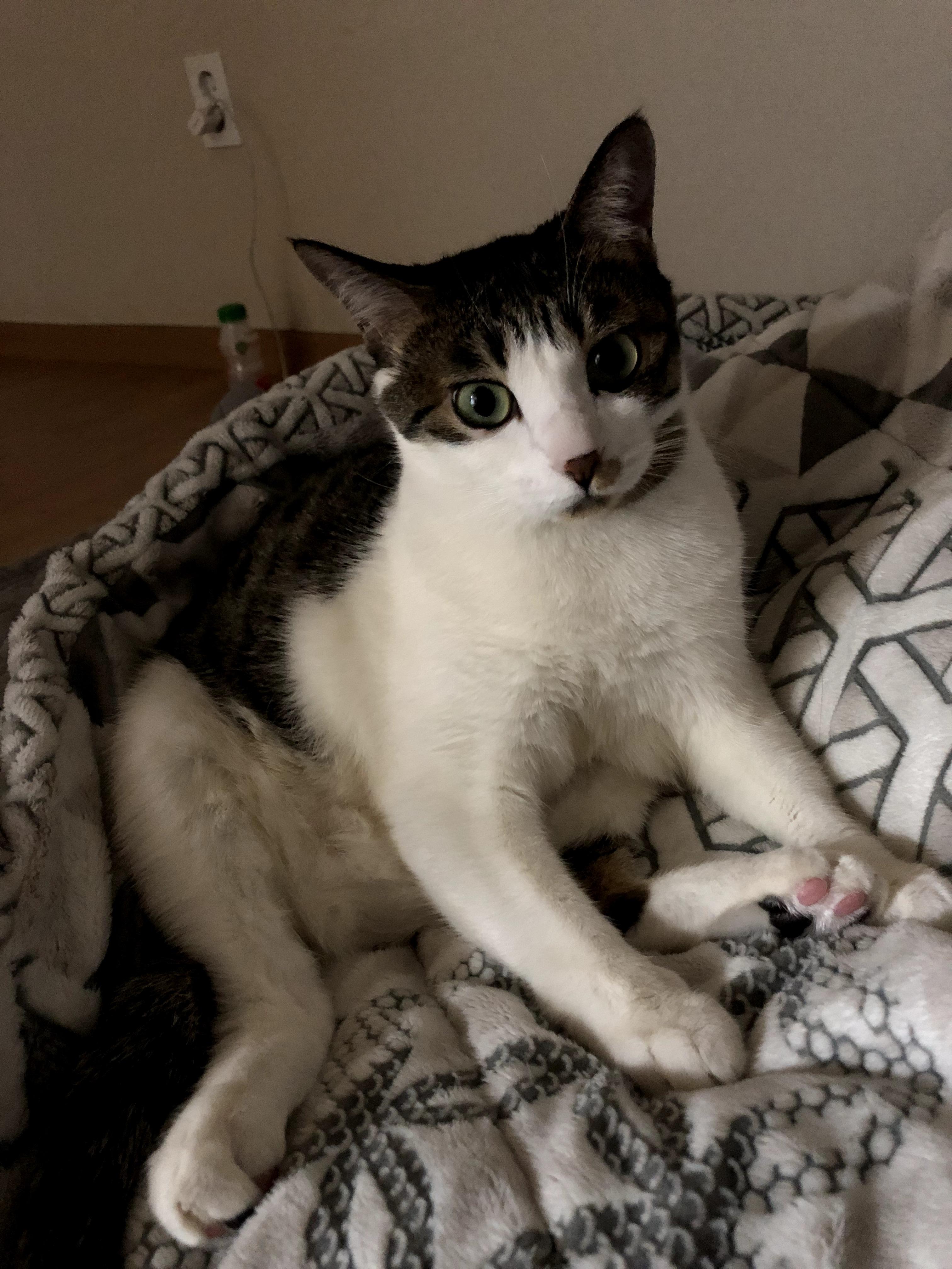 반짝짝 호스트