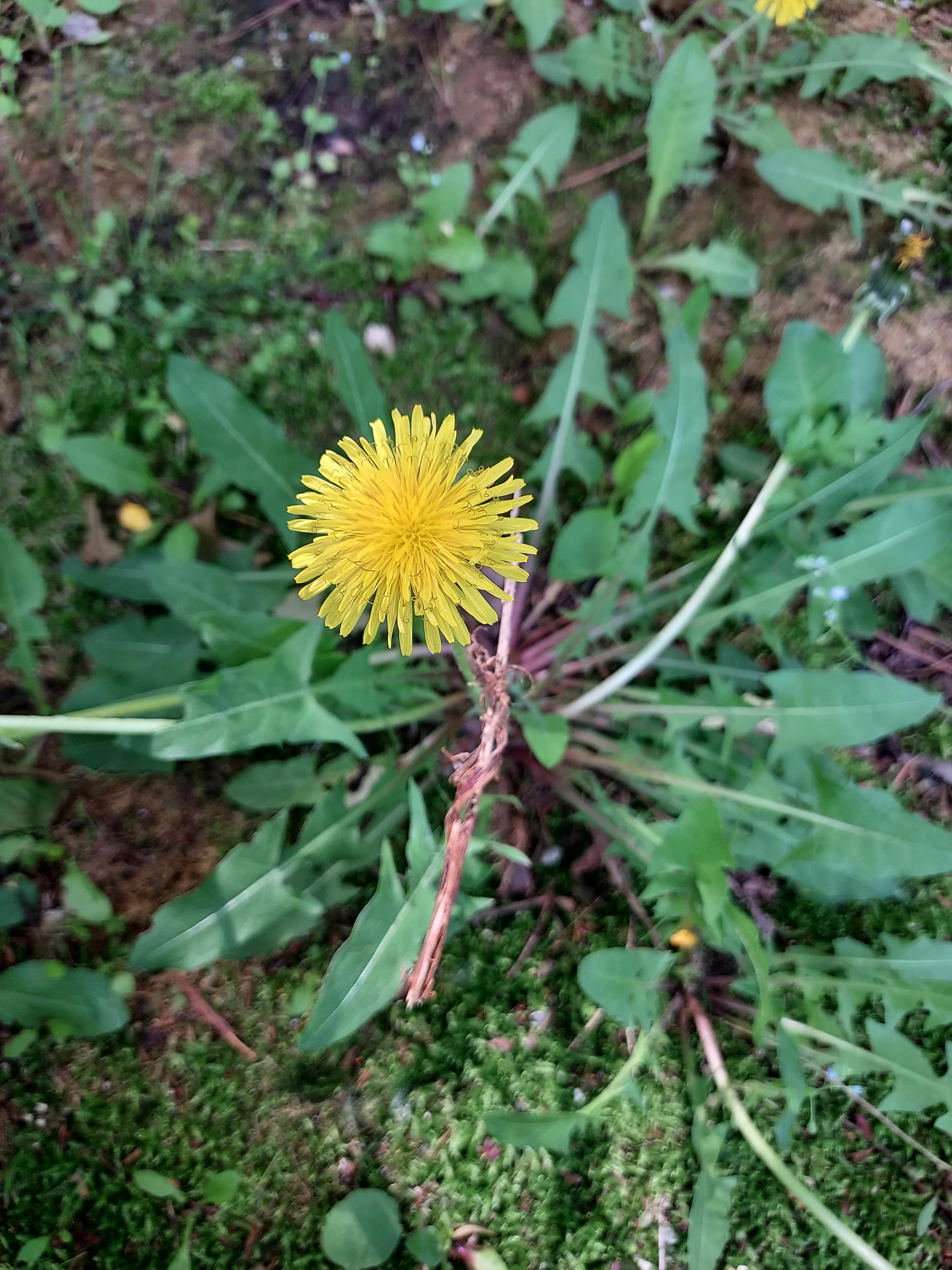황인선 호스트