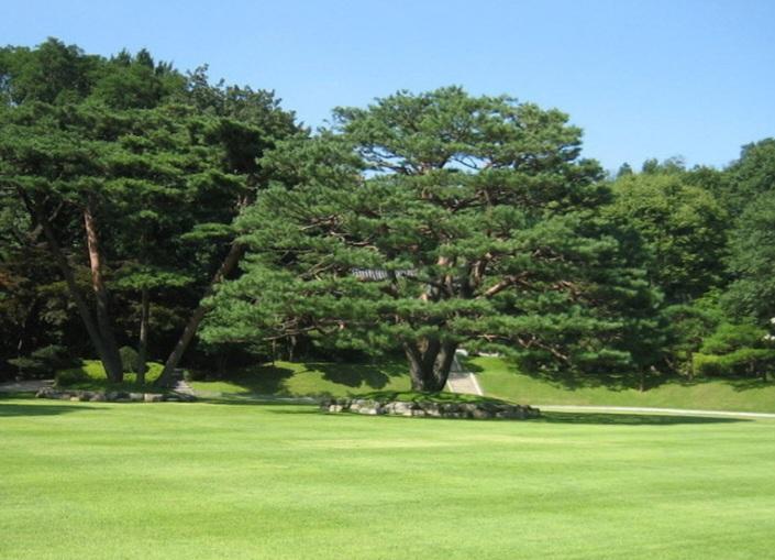 최인규 호스트