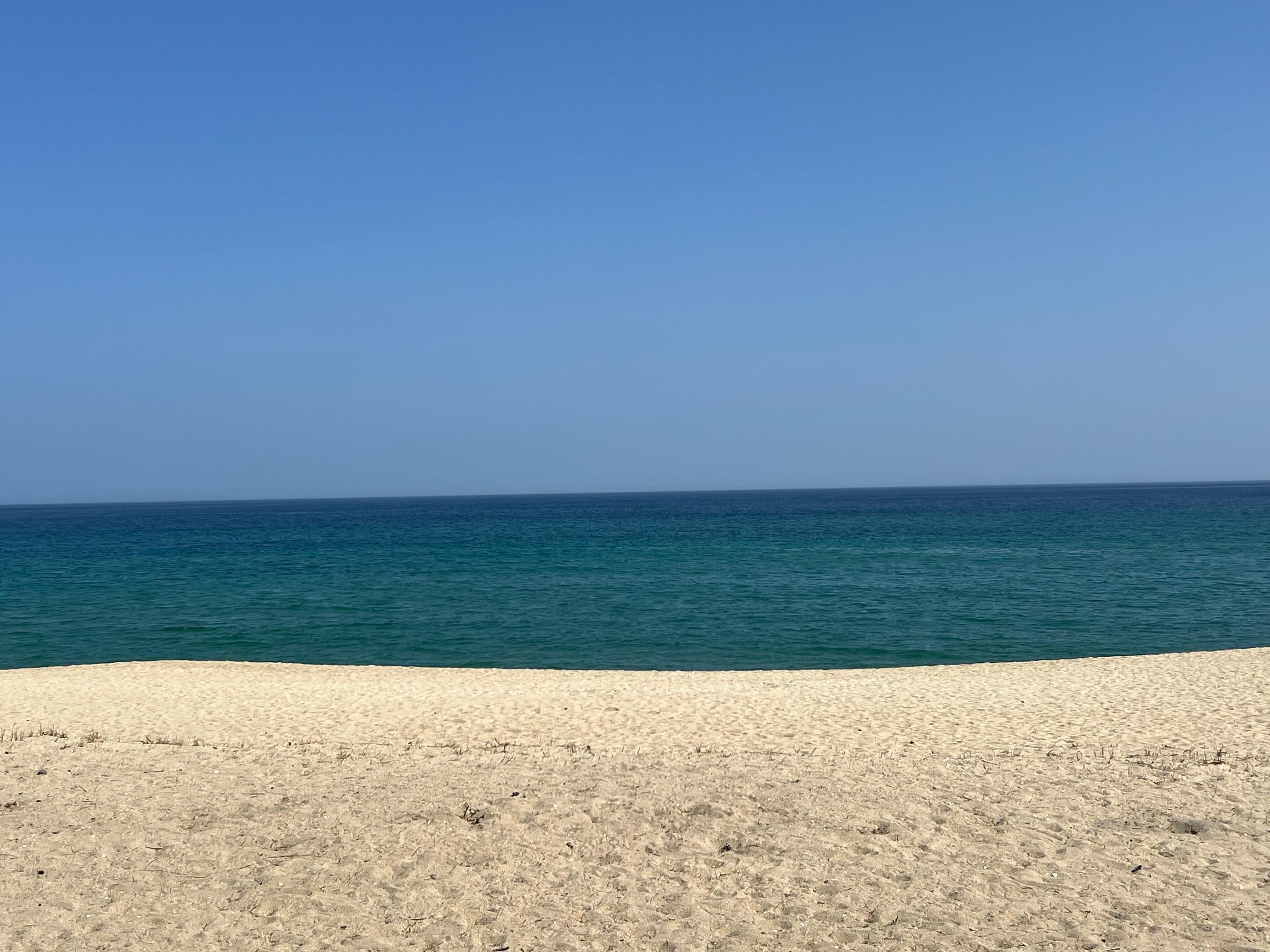 우정 호스트