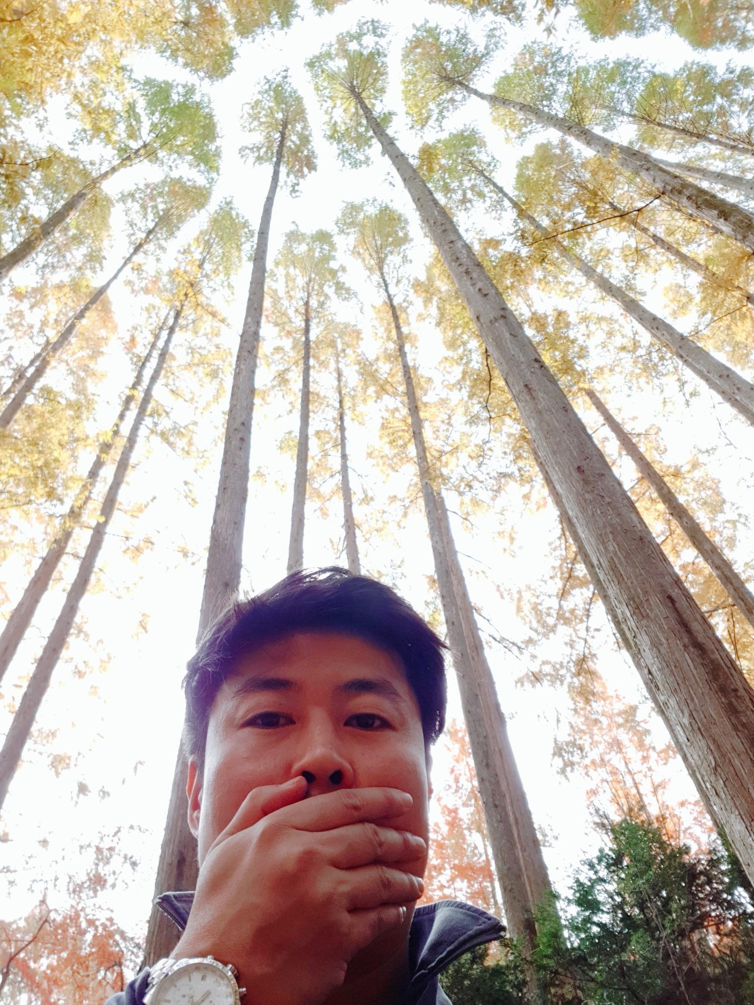띠용2 호스트