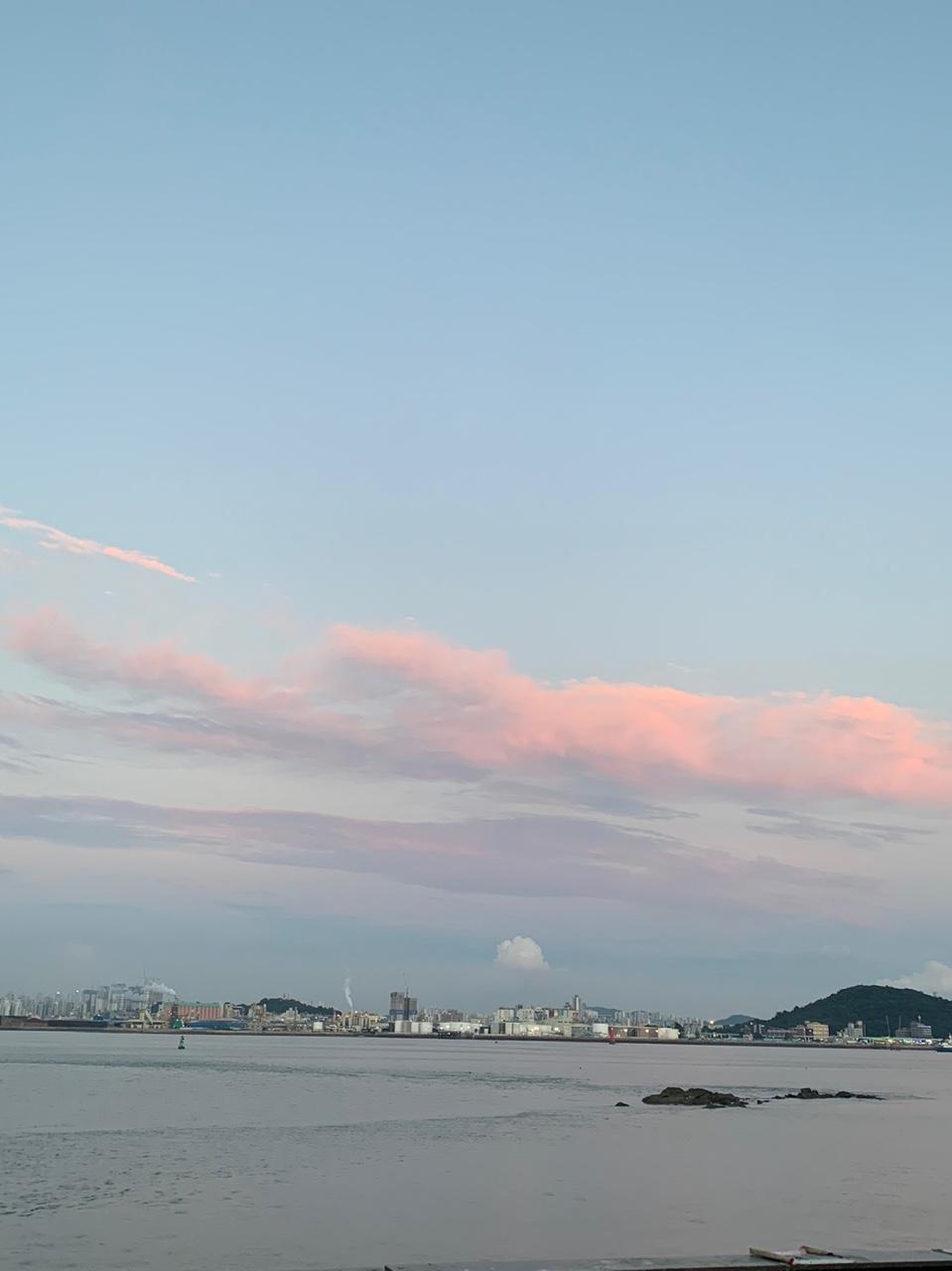 겨울망 사진 5