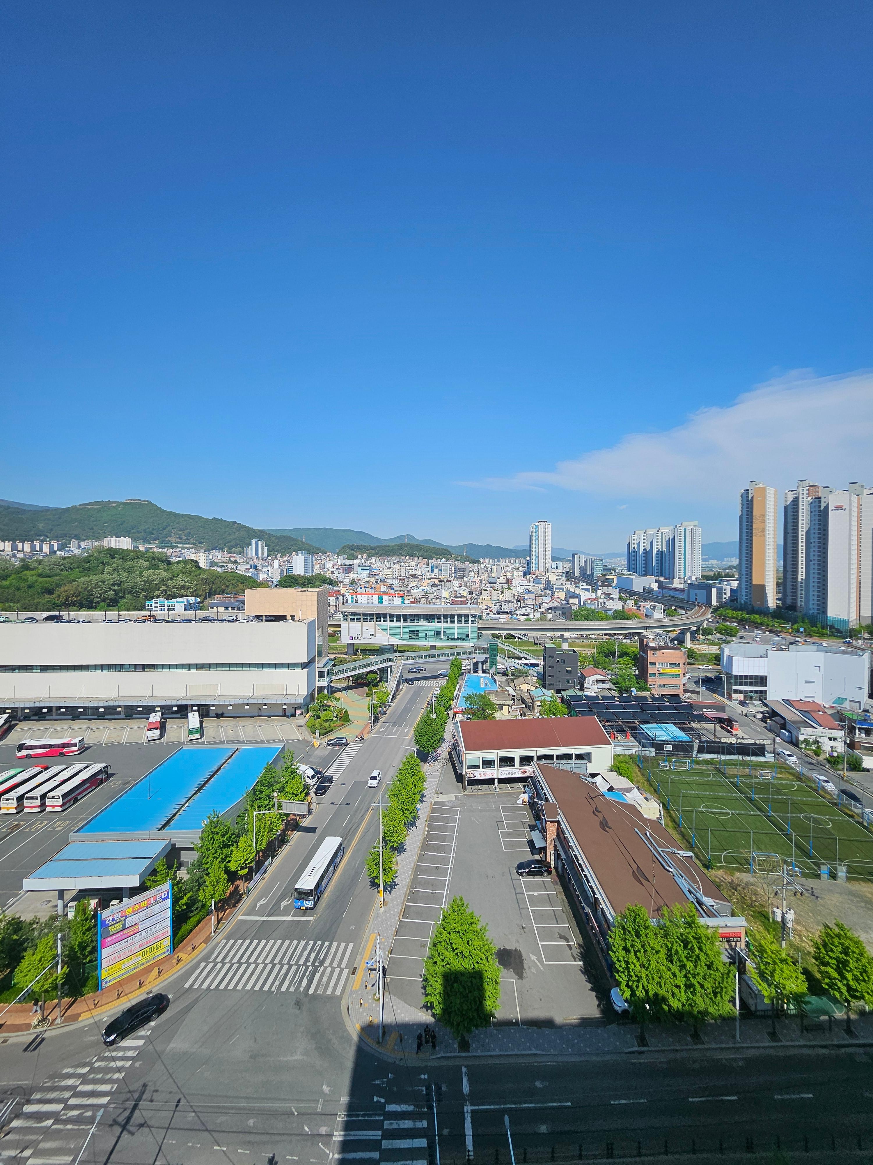 노진혁 호스트