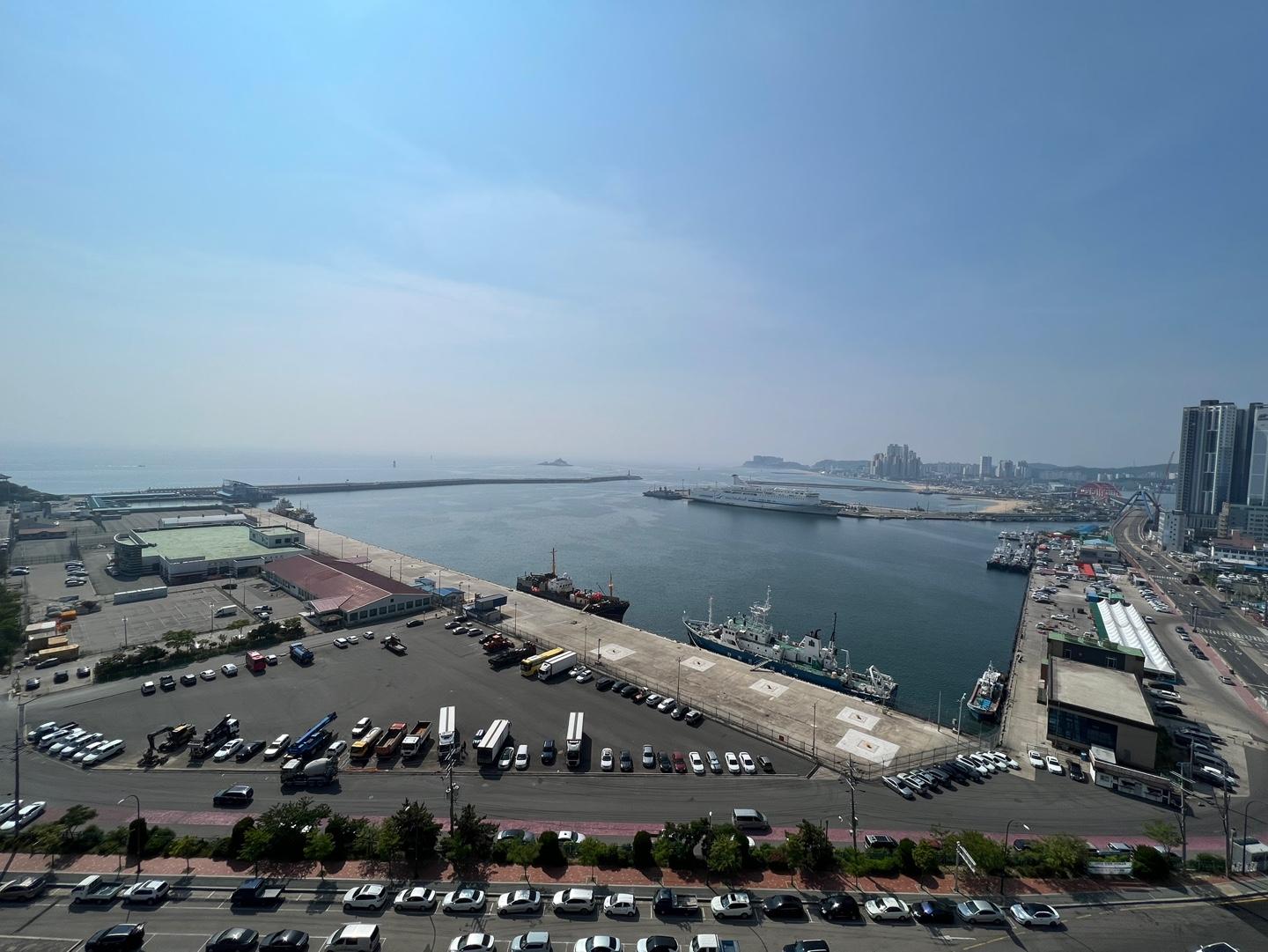 호스트 호스트