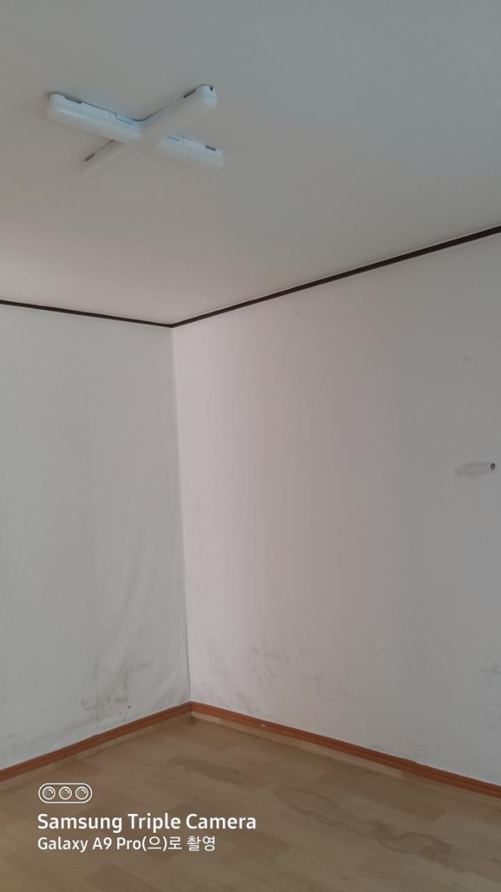 부산진역 역세권 잠만 자기 좋은 곳 사진 4