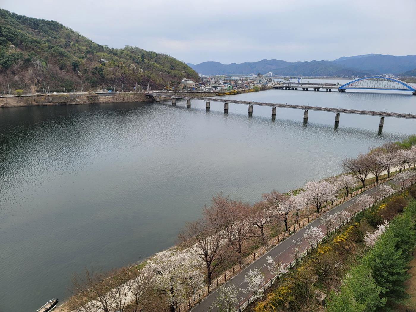 강지윤 호스트
