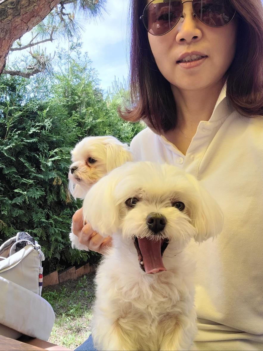 고서정 호스트