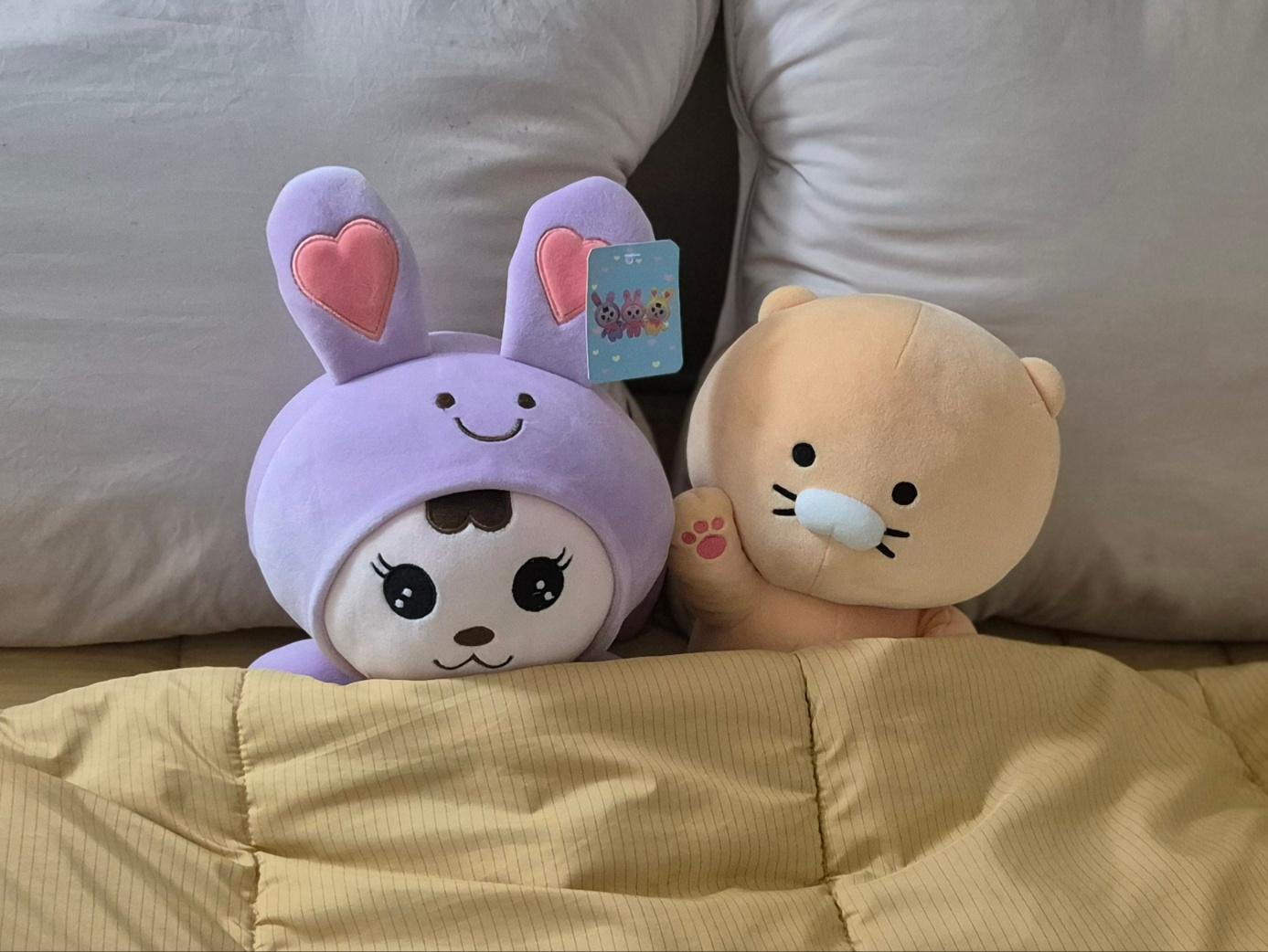 두산동 단기임대 수성구 황금역 초역세권 복층집