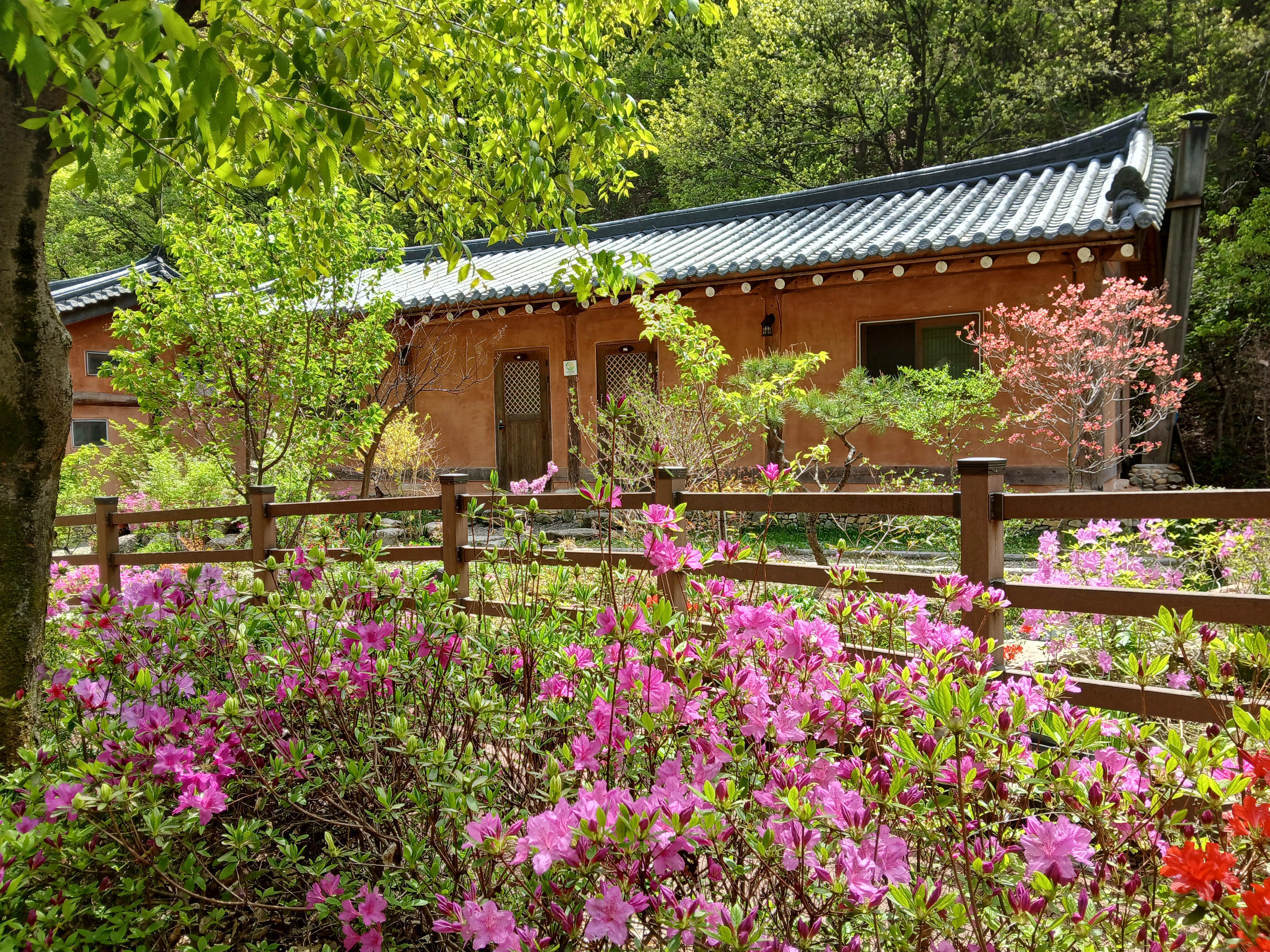박만석 호스트