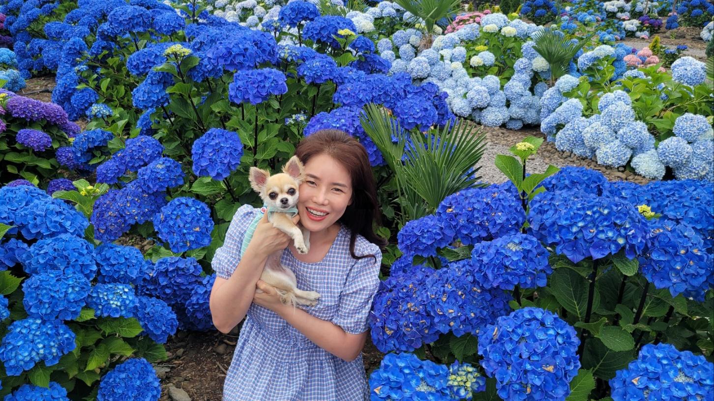 조혜경 호스트
