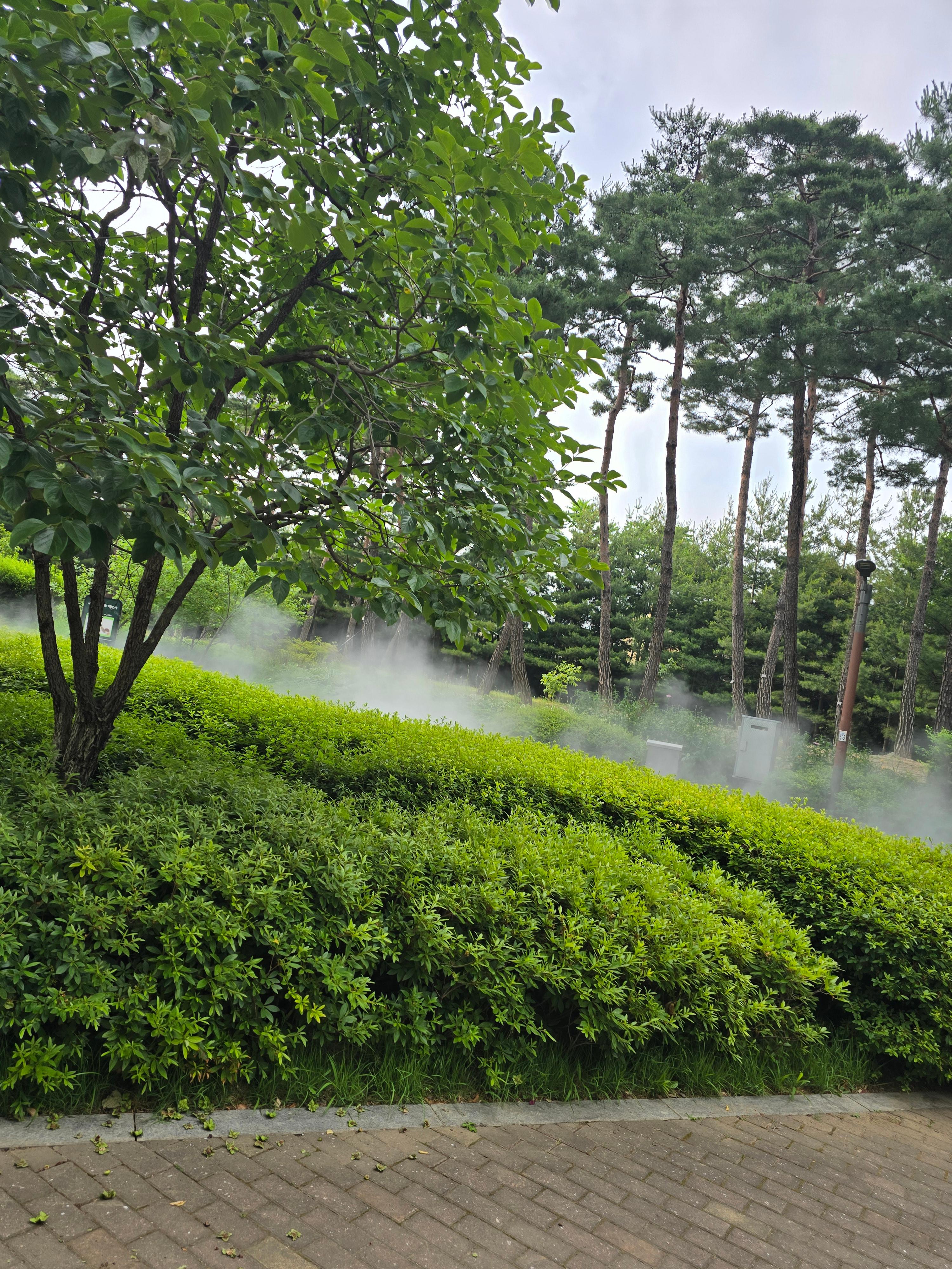이소원 호스트