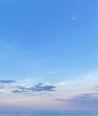 레오  호스트