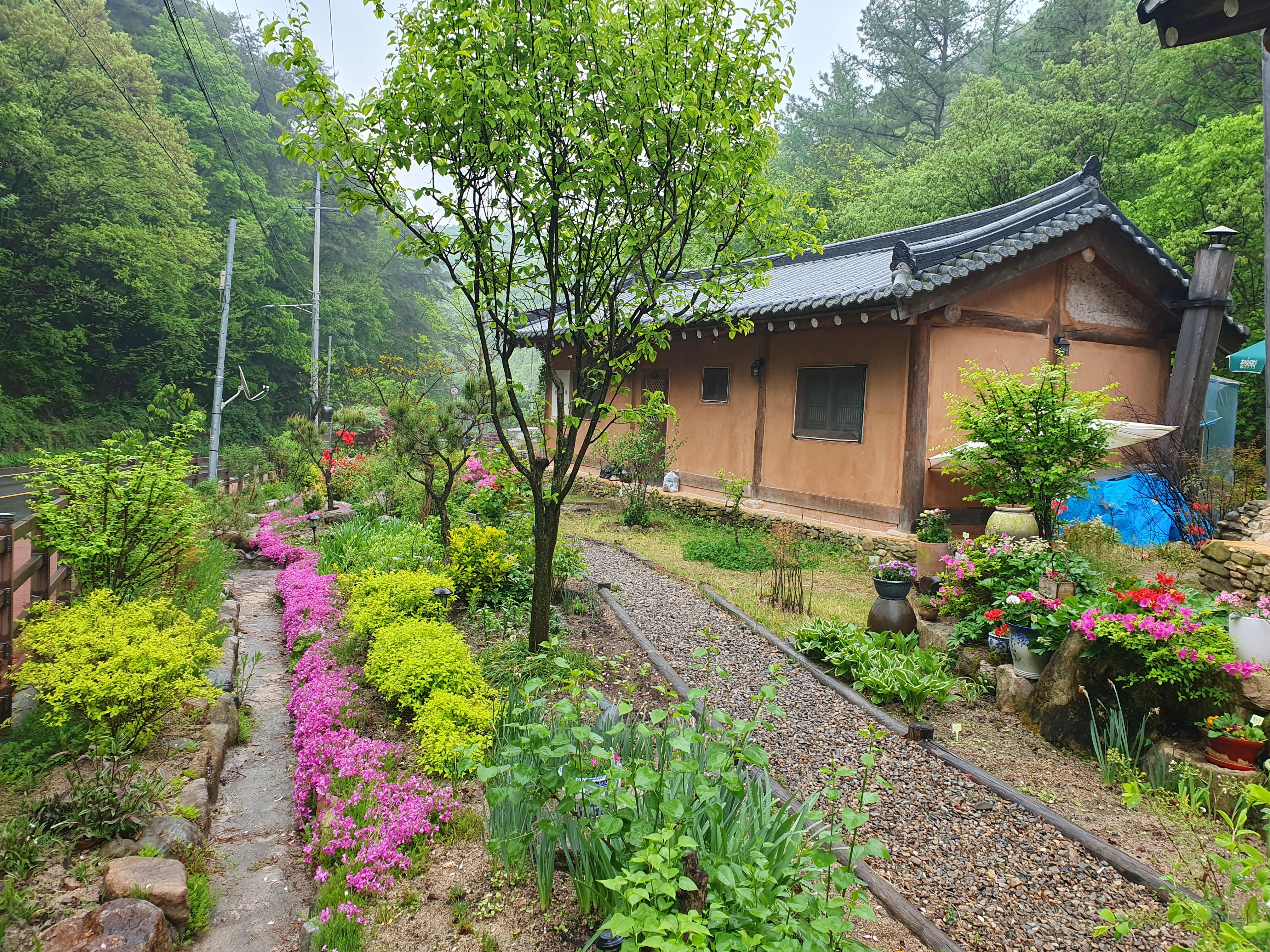 천전리 단기임대 반구대옛집
