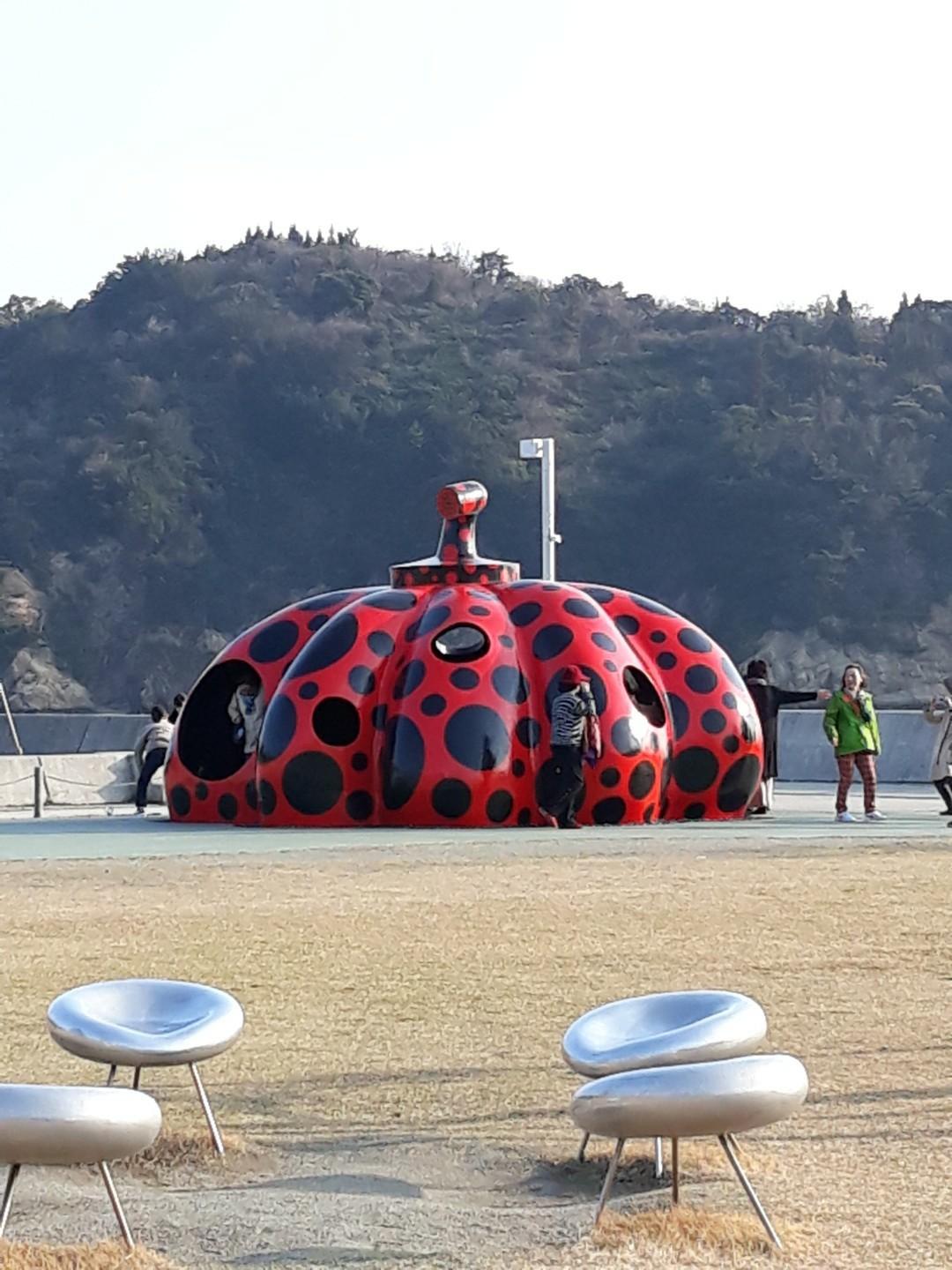 권선경 010 6296 3832 호스트