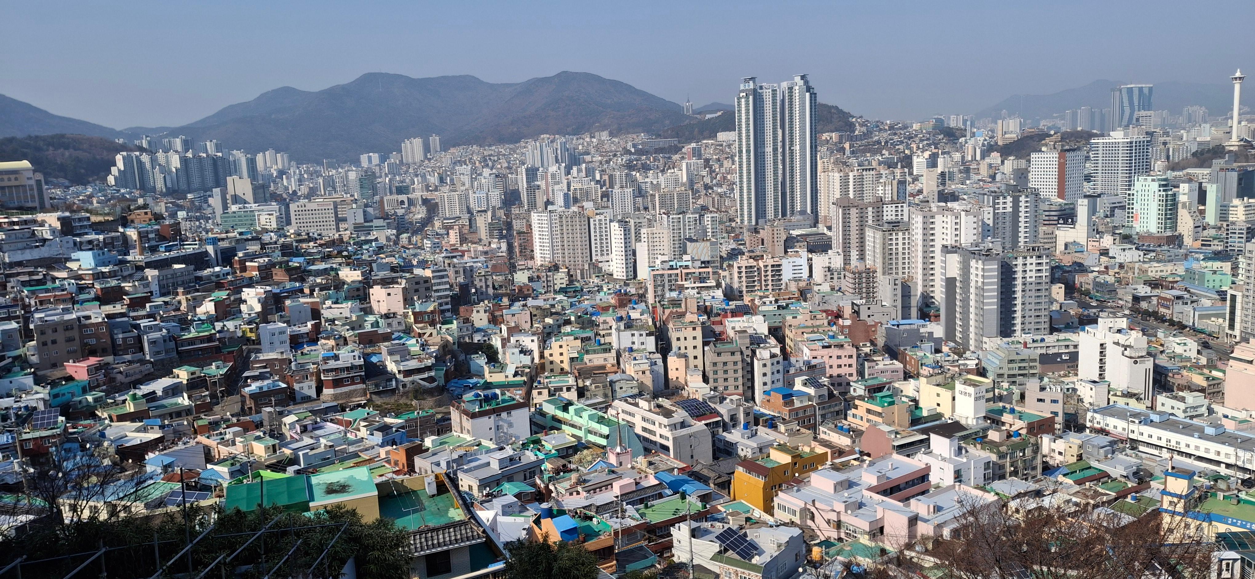 최고산 호스트
