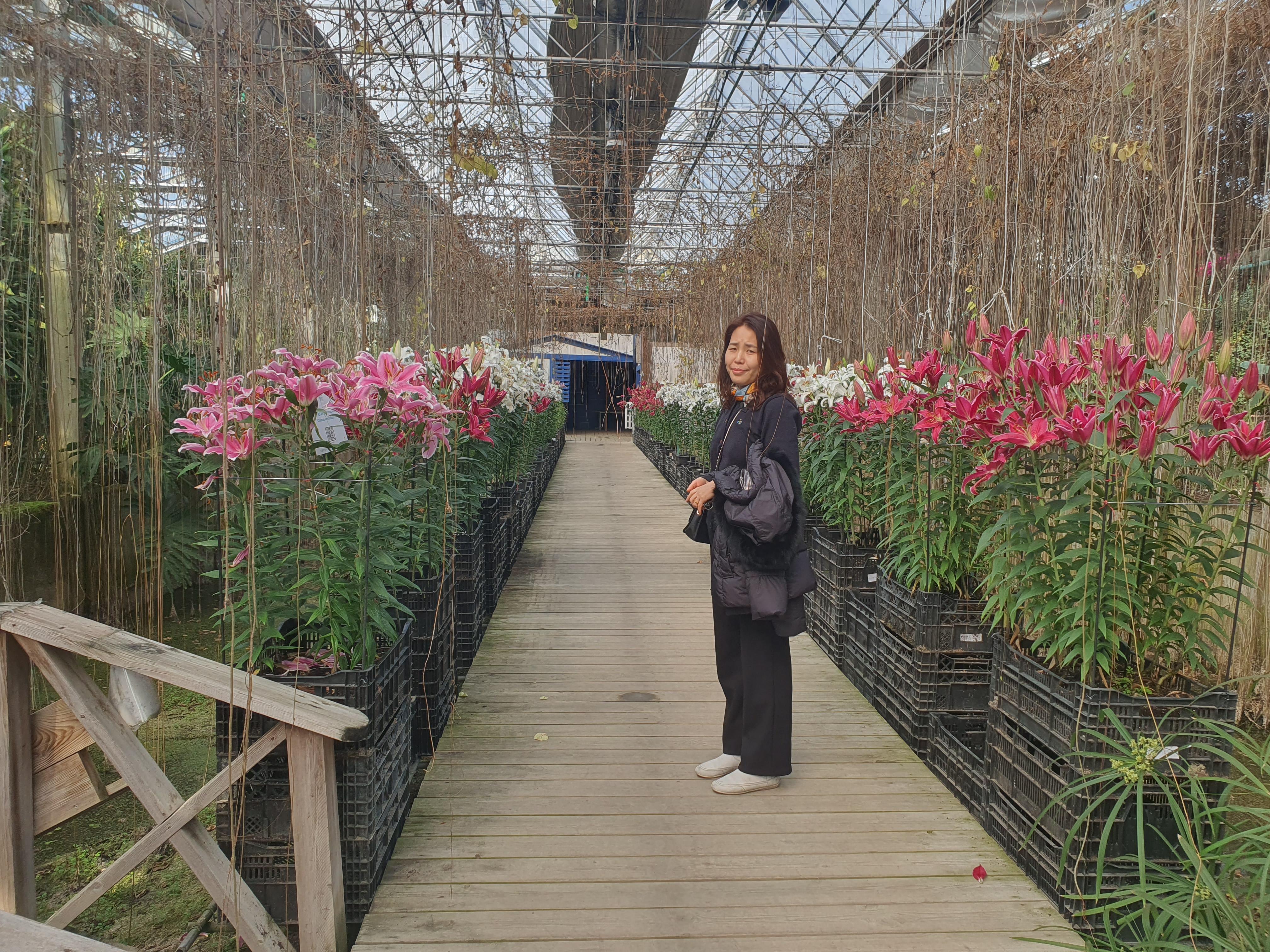 이미경 호스트