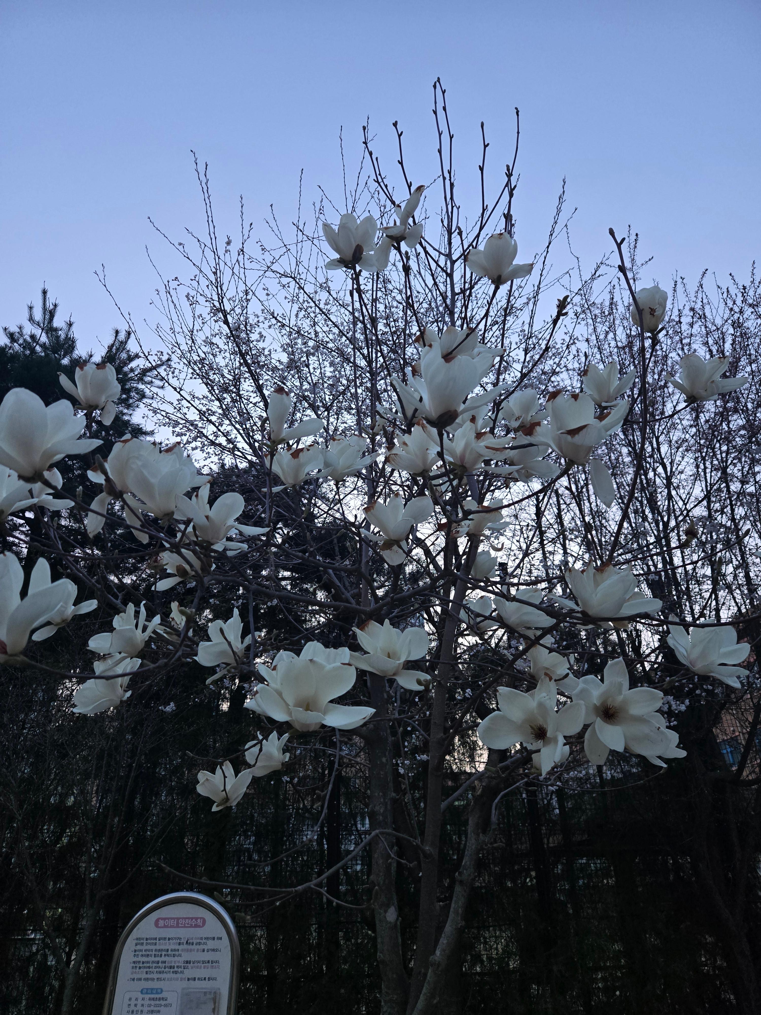 단기 전문 호스트