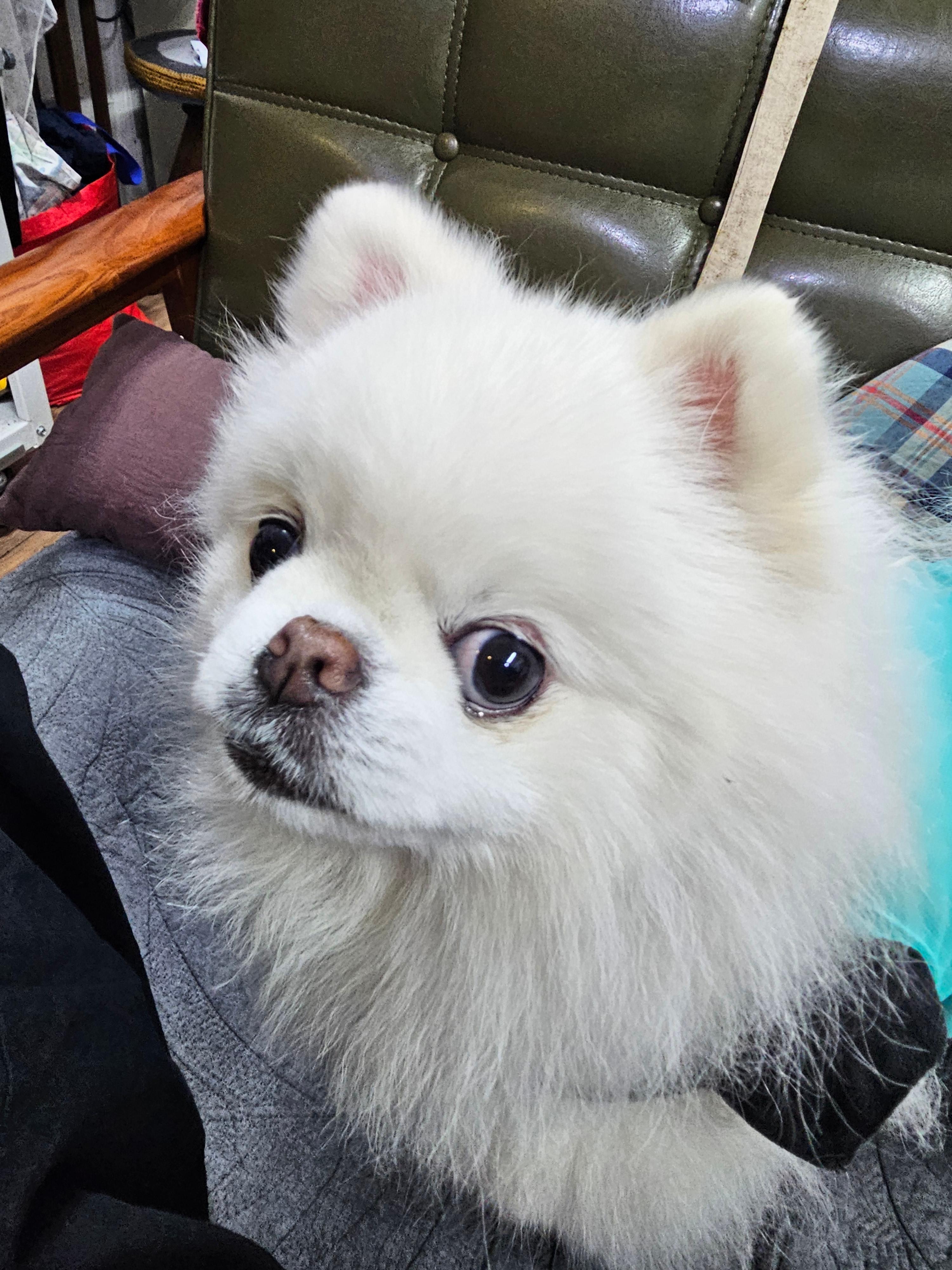 양준혜 호스트