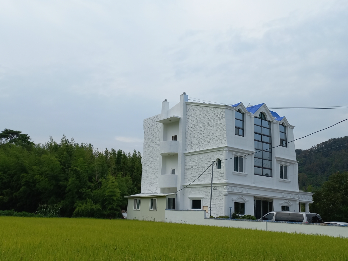 전망 좋음  사진 5