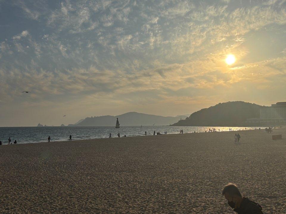 해운대 호스트 호스트