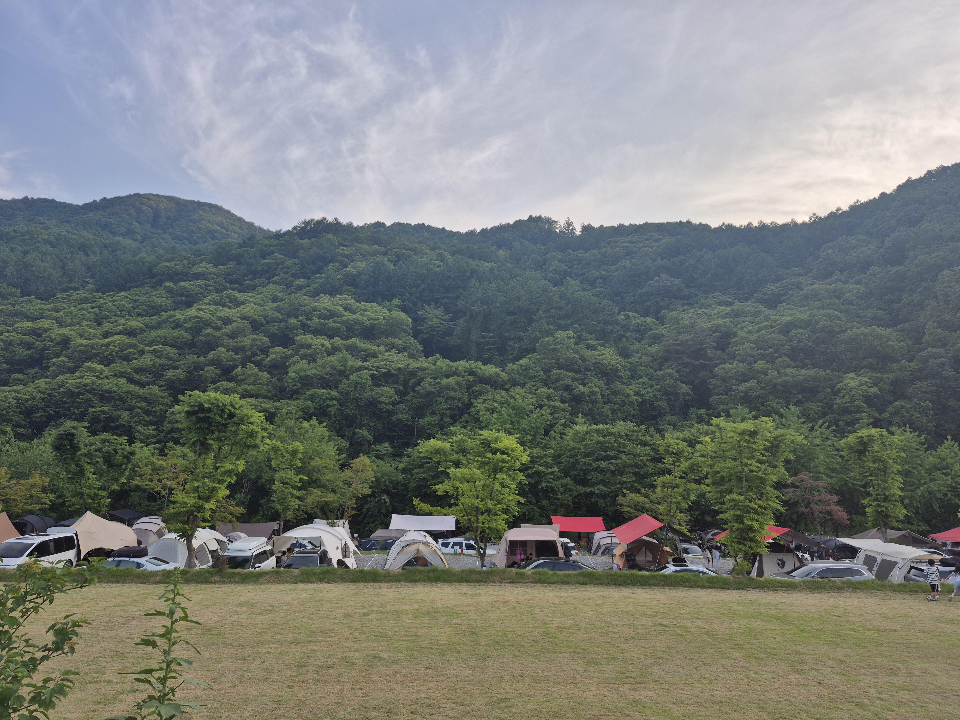 홍유리 호스트