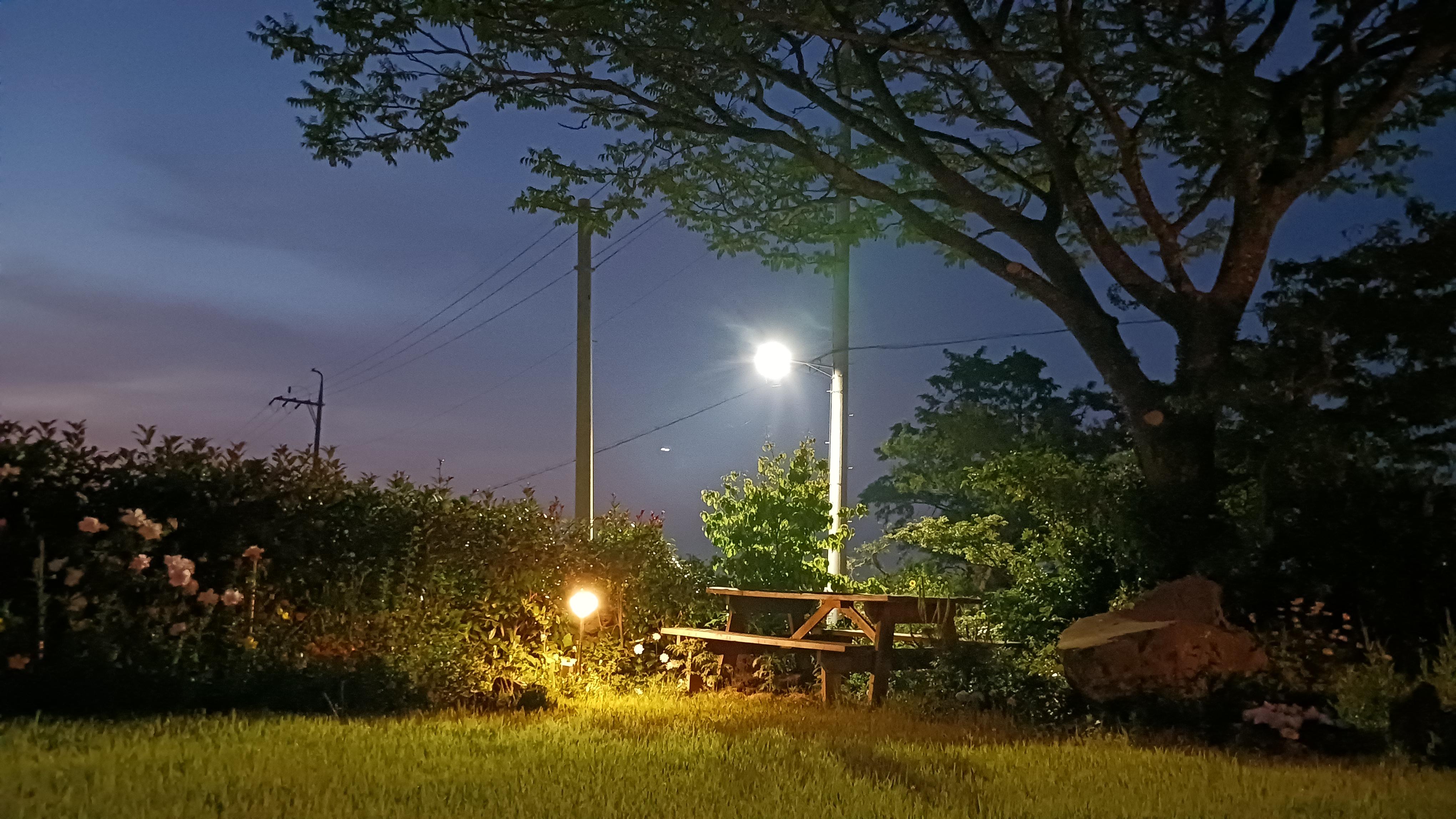 김운택 호스트