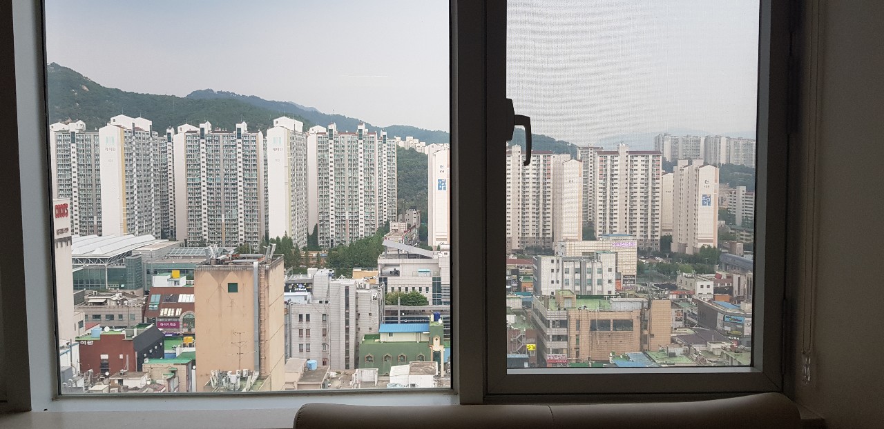 안양일번가미키하우스 사진 3