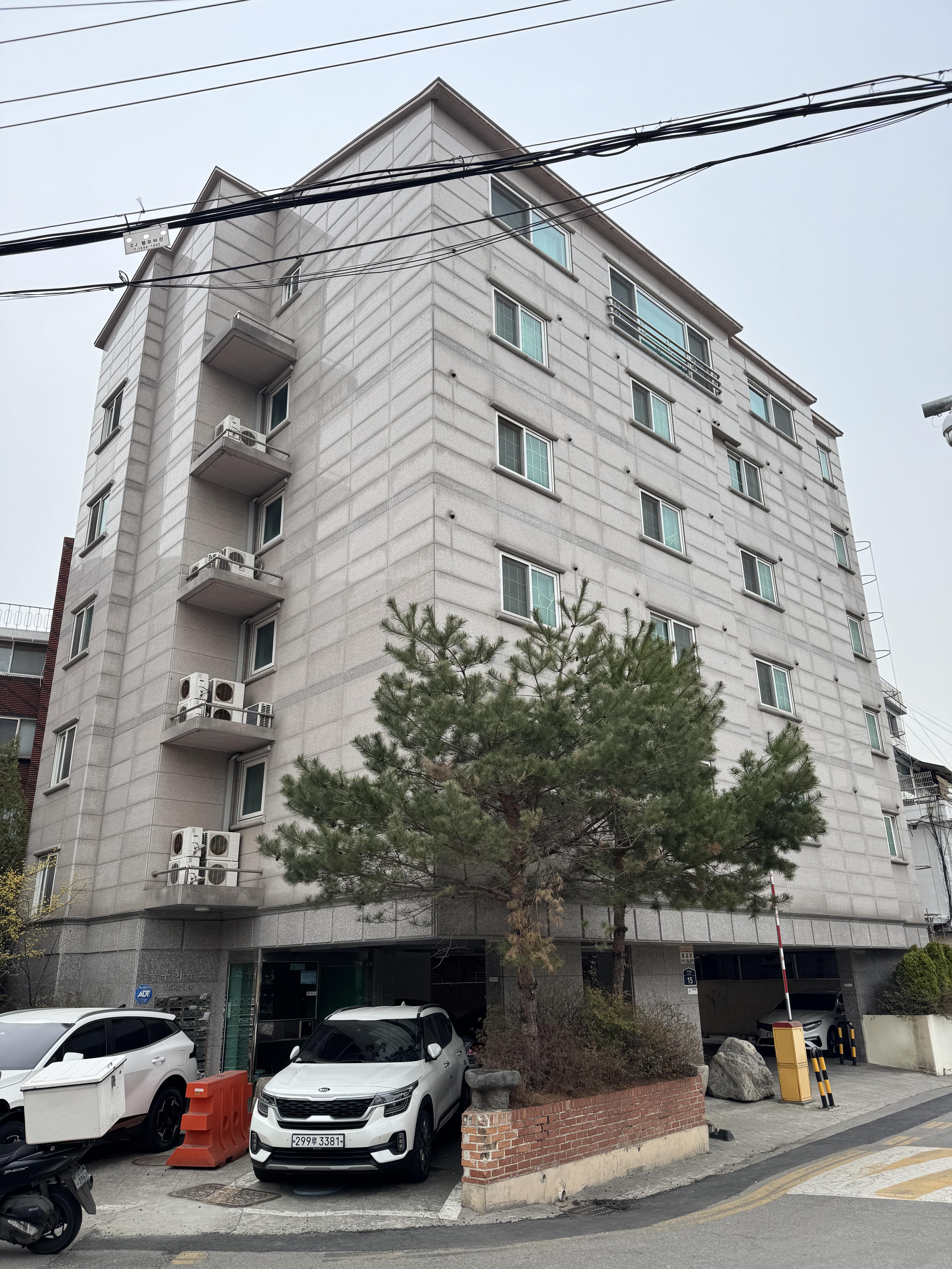 상남자 홍상수 호스트