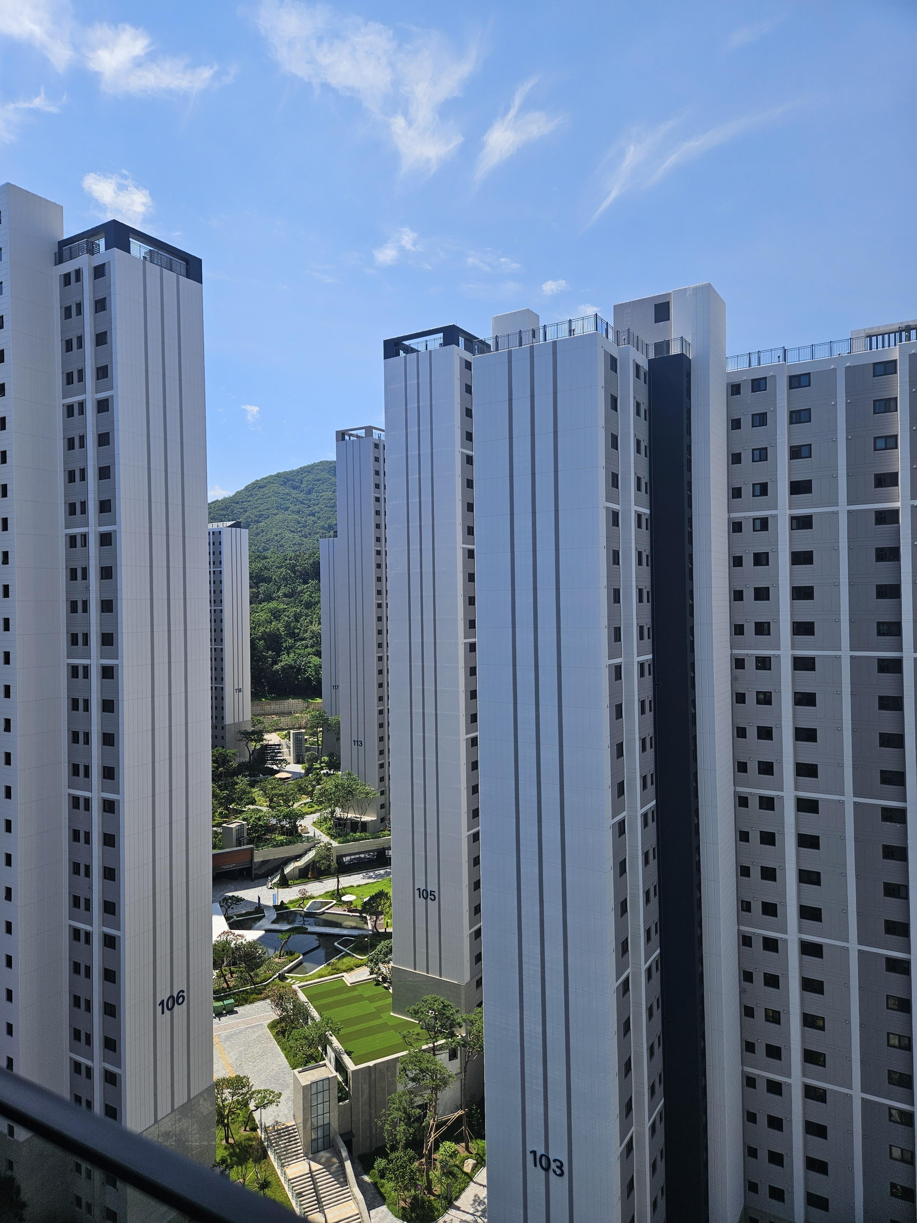 김미정  호스트