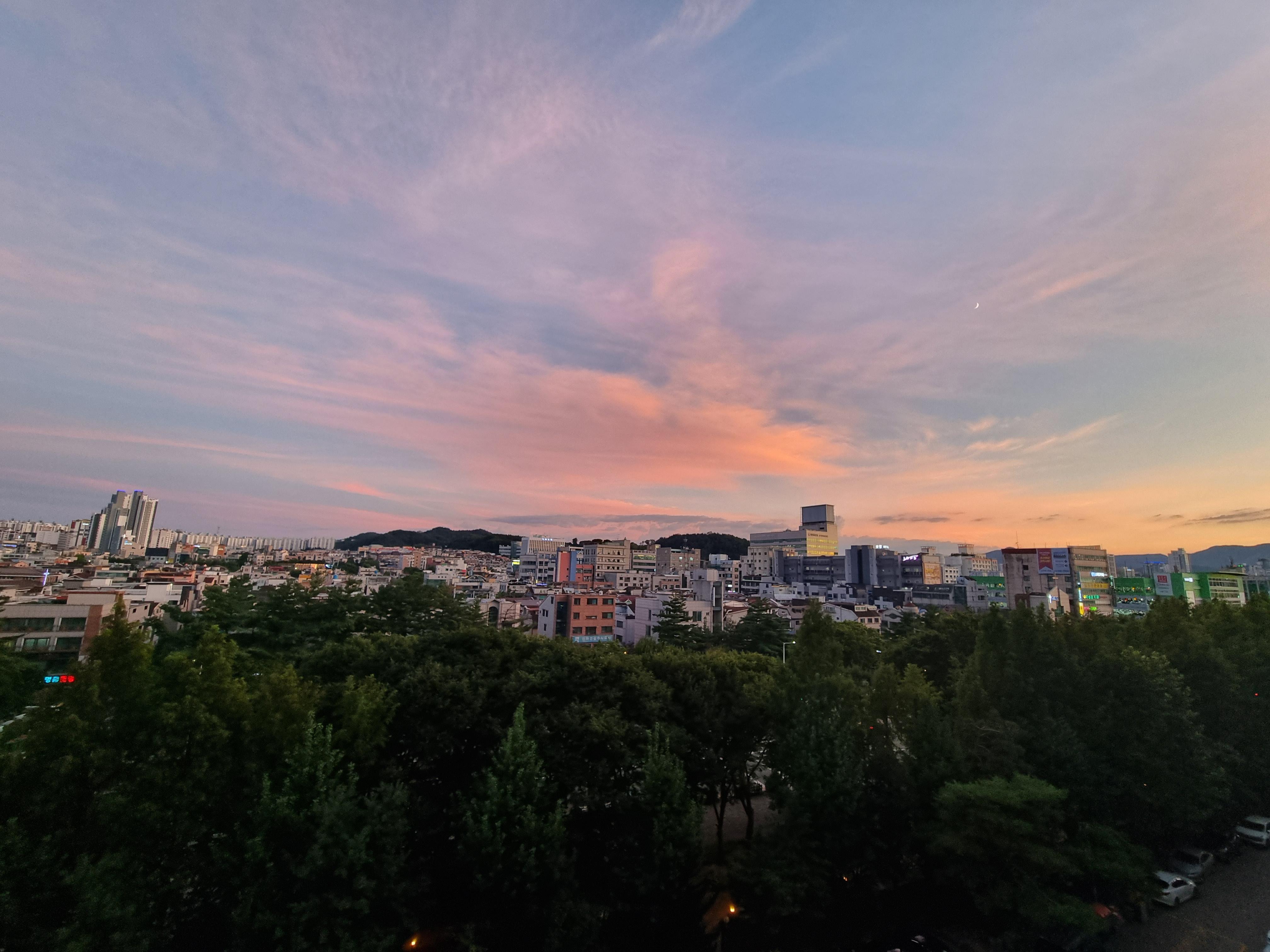 박지수 호스트