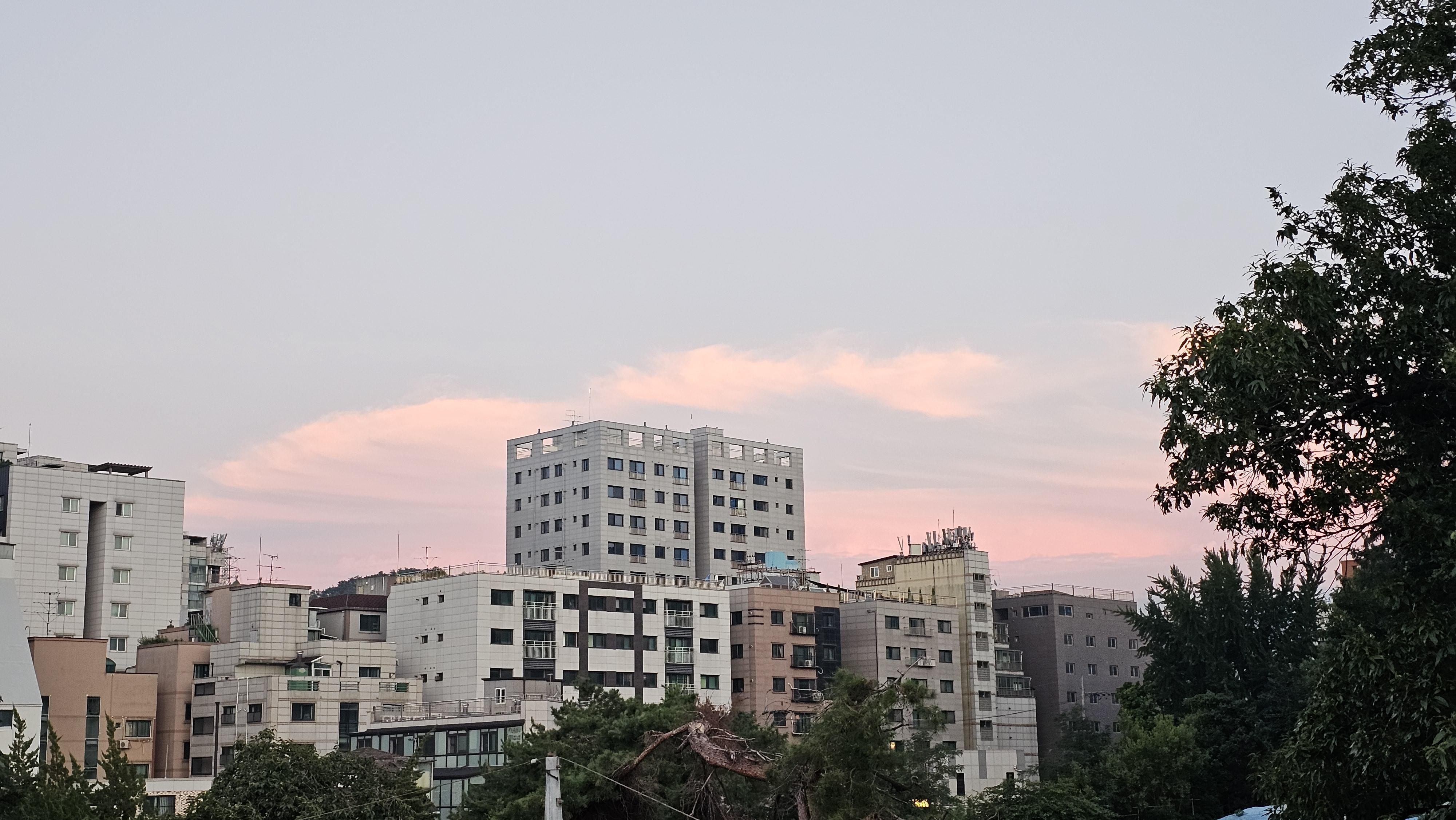 멜로우홈 호스트