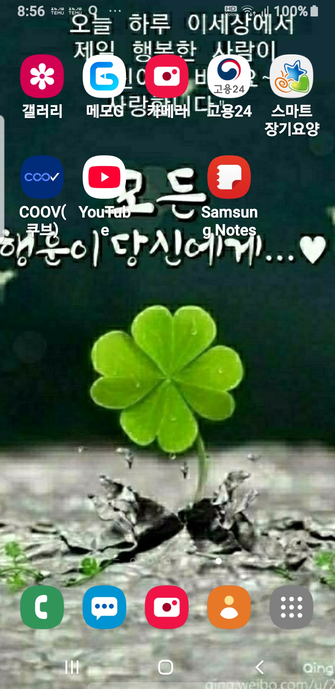 장금화ㅔ 호스트