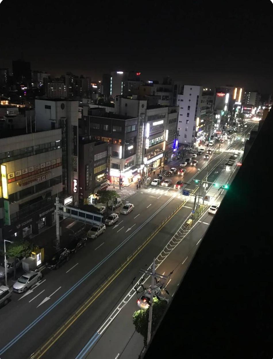 제주시청 사거리 사진 5